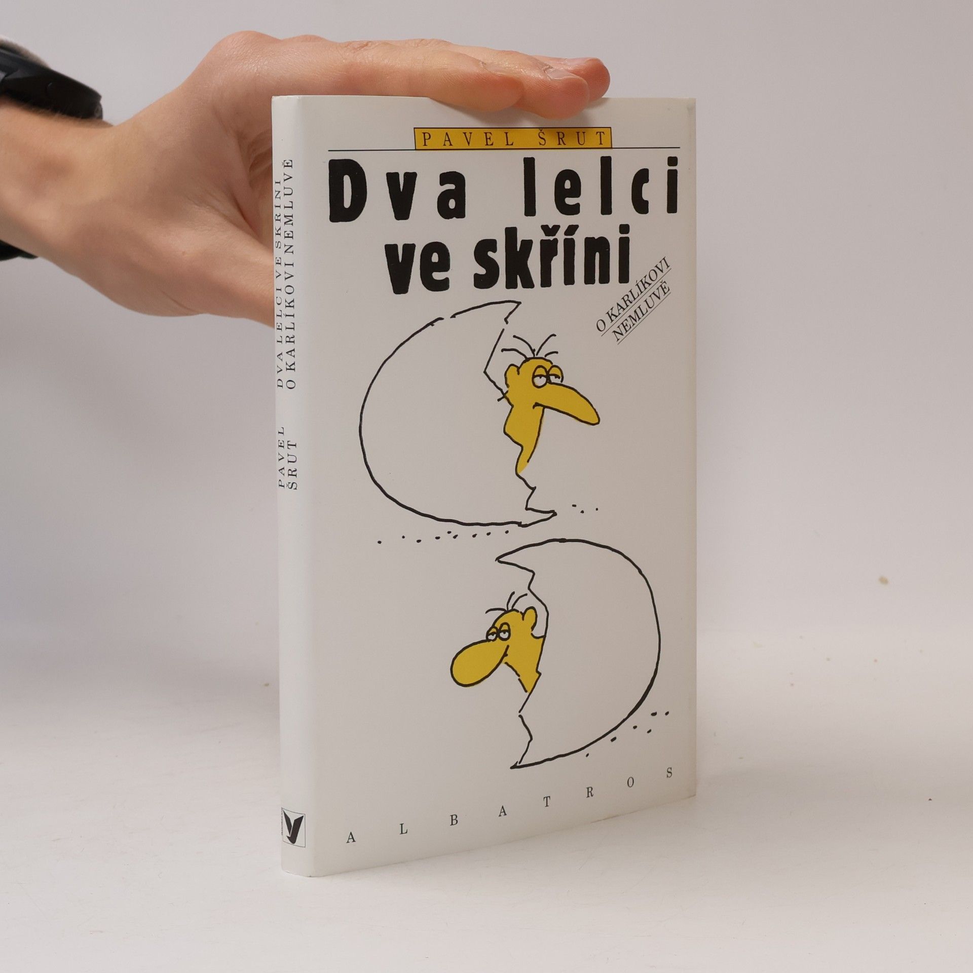 Dva lelci ve skříni o Karlíkovi nemluvě