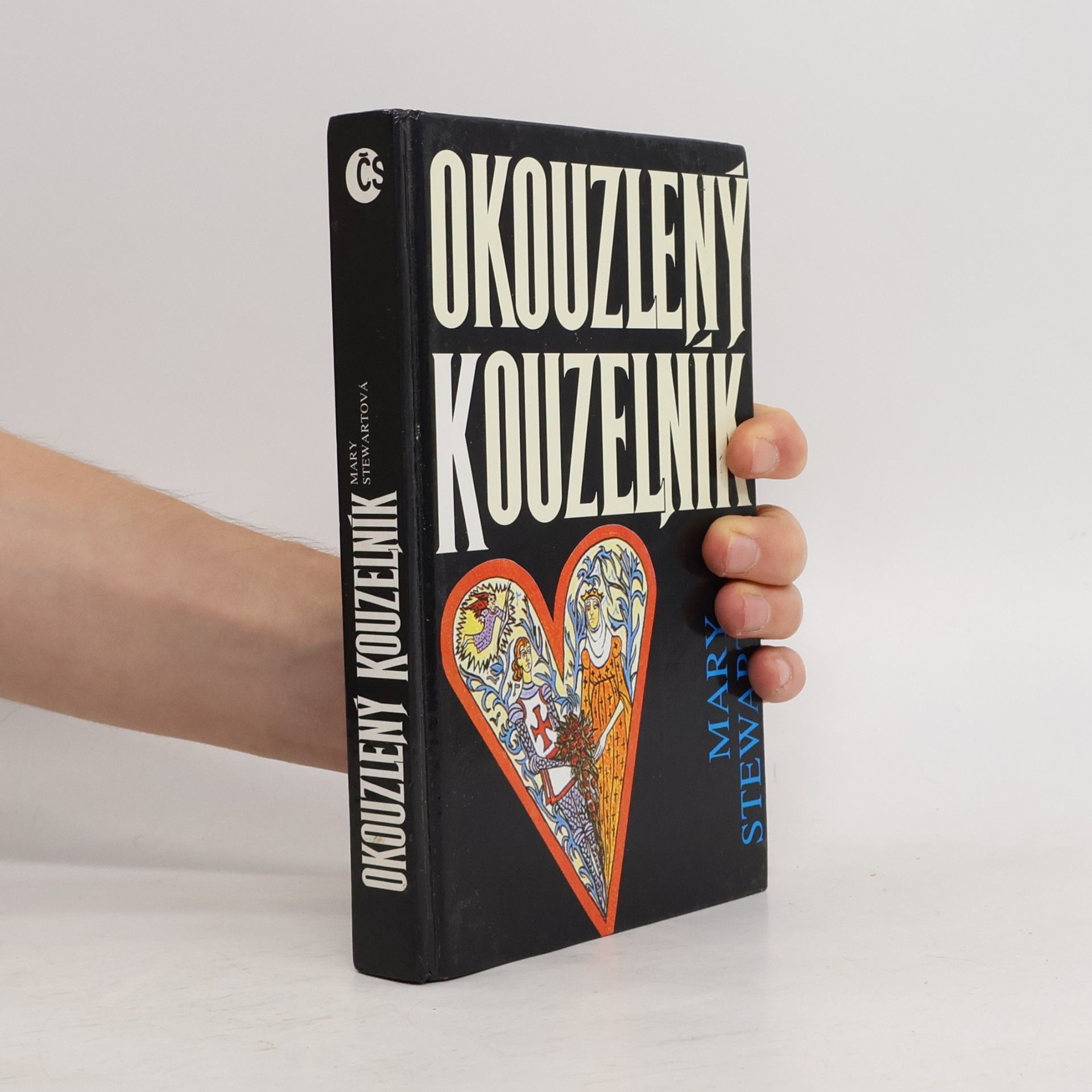 Mary Stewart Okouzlený kouzelník