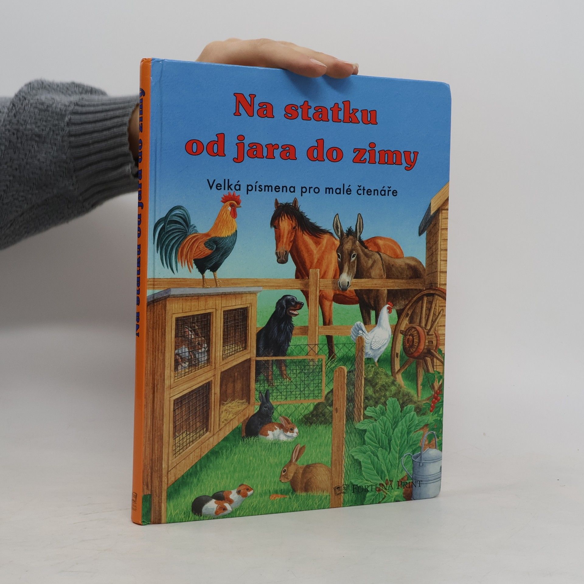 Gisela Fischer-Lingat Na statku od jara do zimy