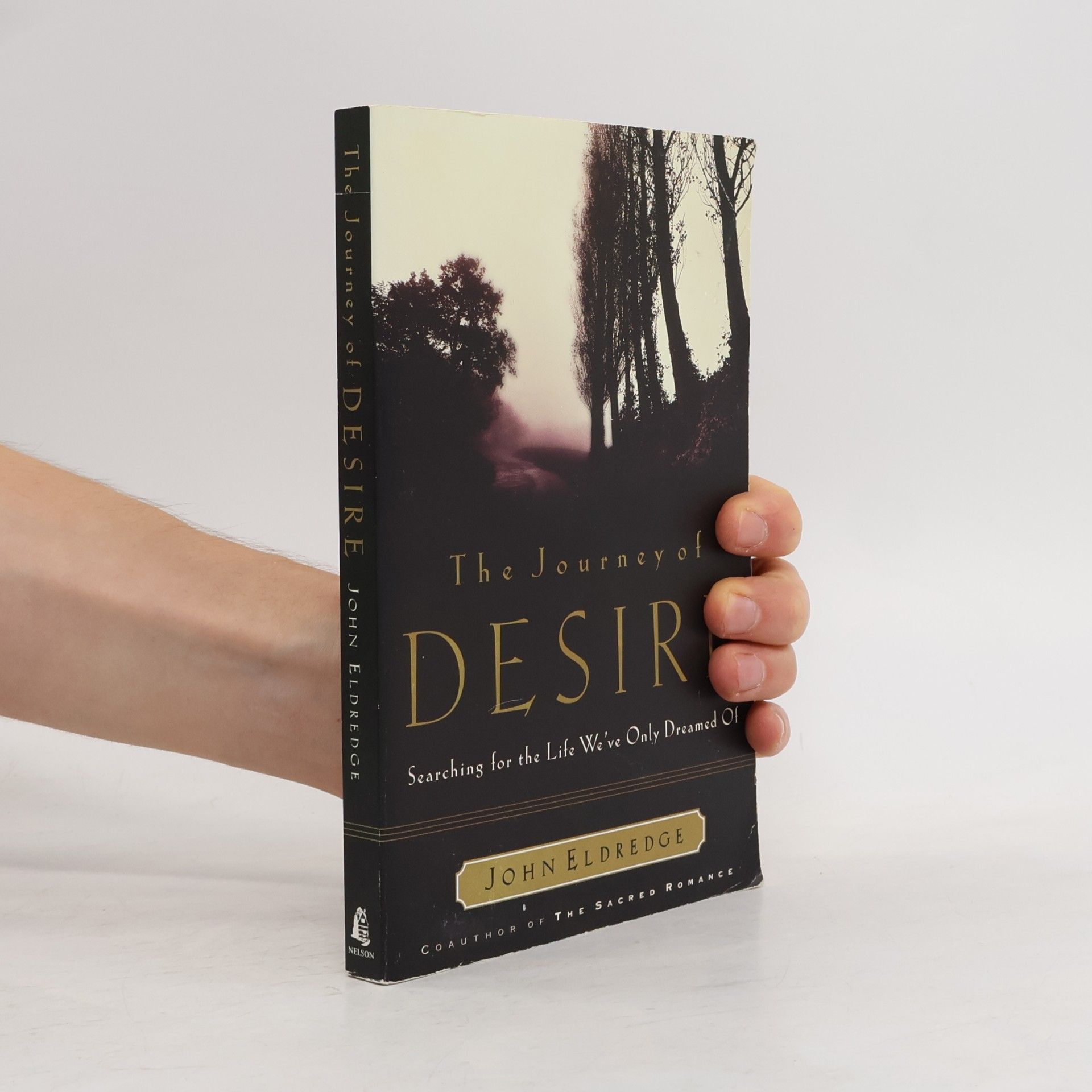 John Eldredge The Journey of Desire