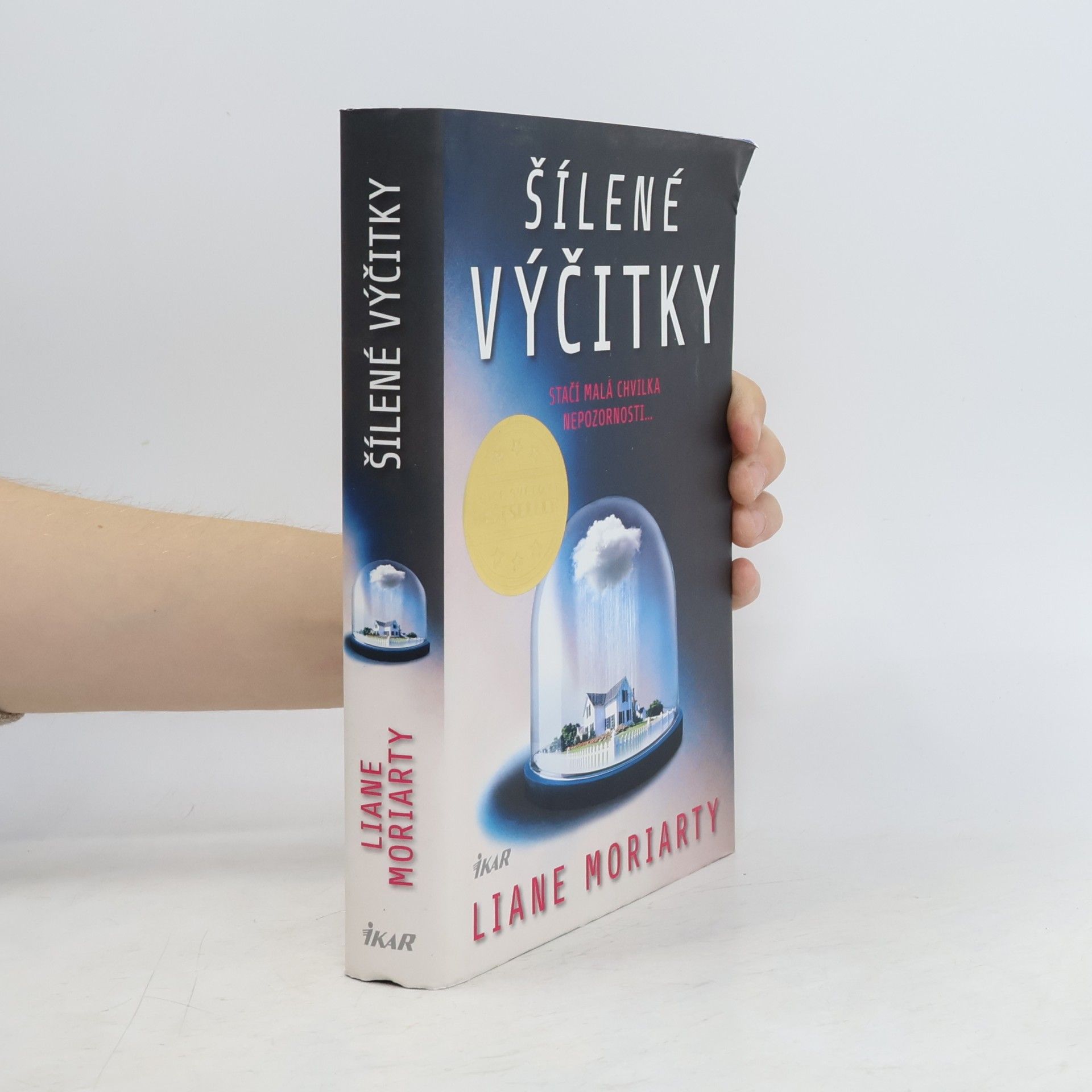 Liane Moriarty Šílené výčitky