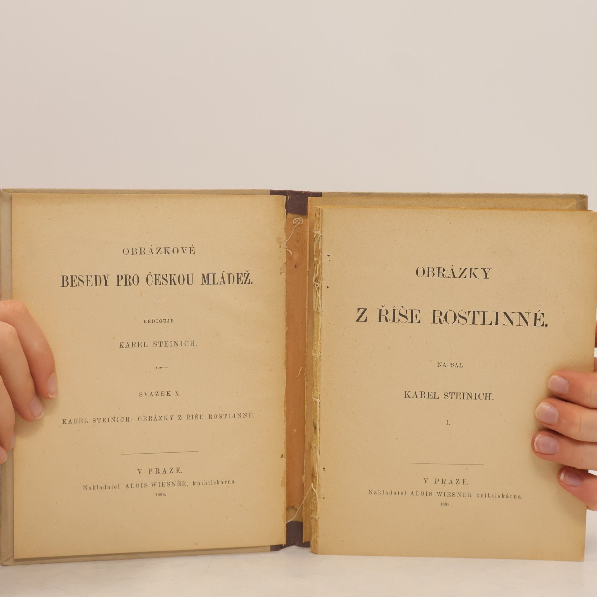 Karel Steinich Obrázky z říše rostlinné