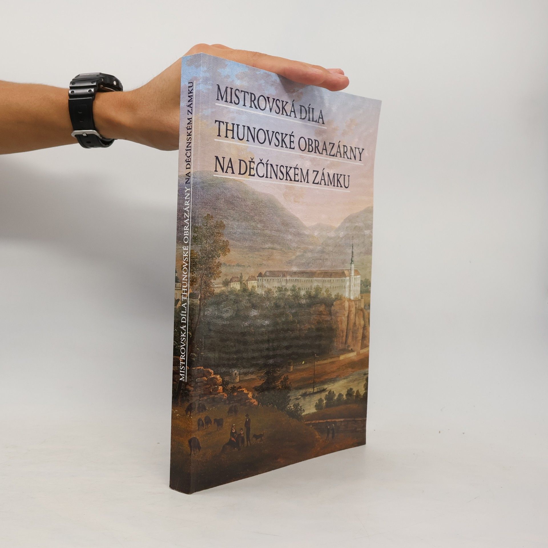 Autorenkollektiv Mistrovská díla thunovské obrazárny na děčínském zámku