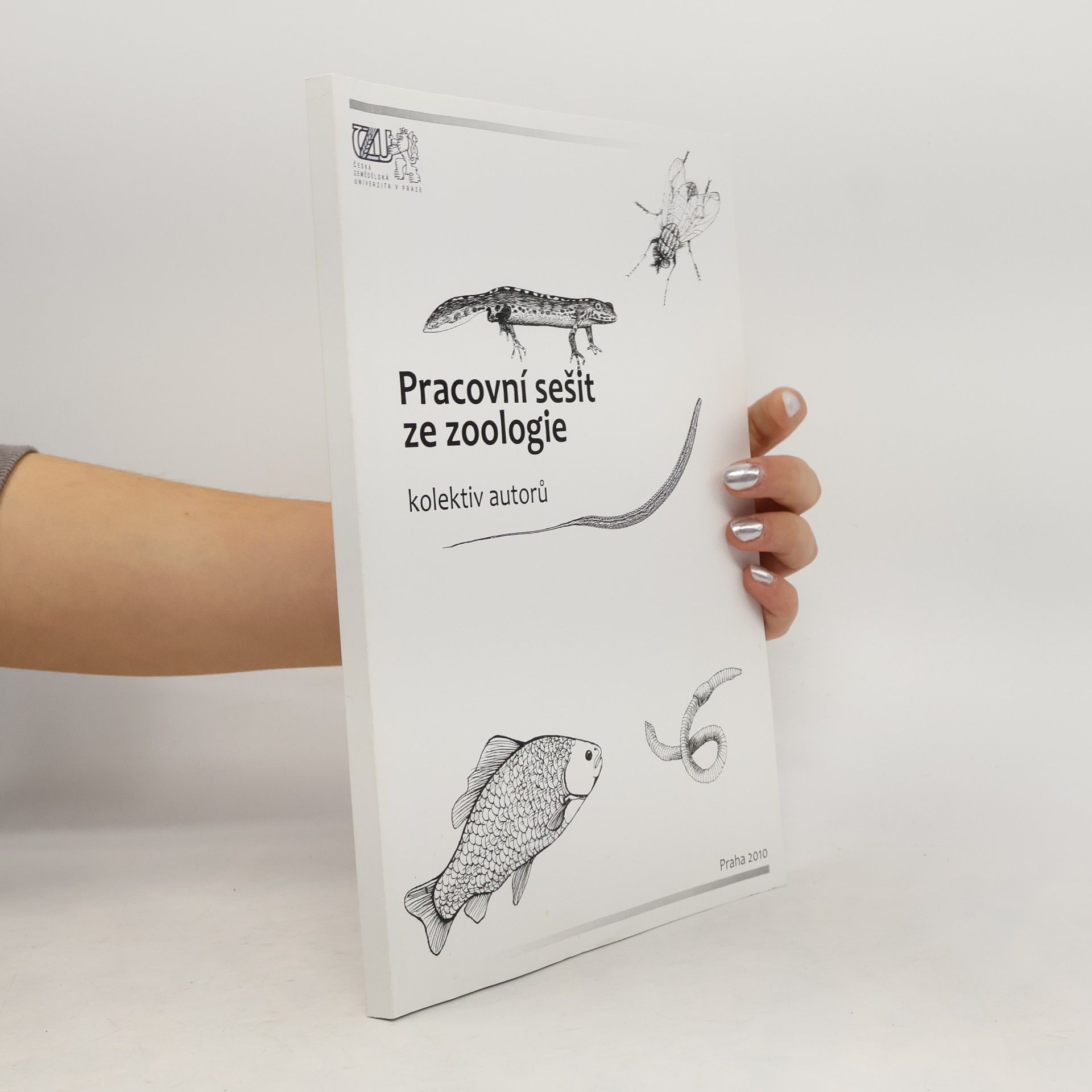 Autorenkollektiv Pracovní sešit ze zoologie
