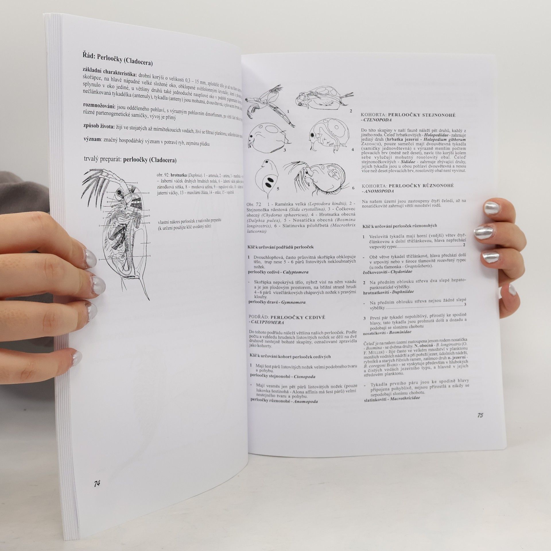 Autorenkollektiv Pracovní sešit ze zoologie