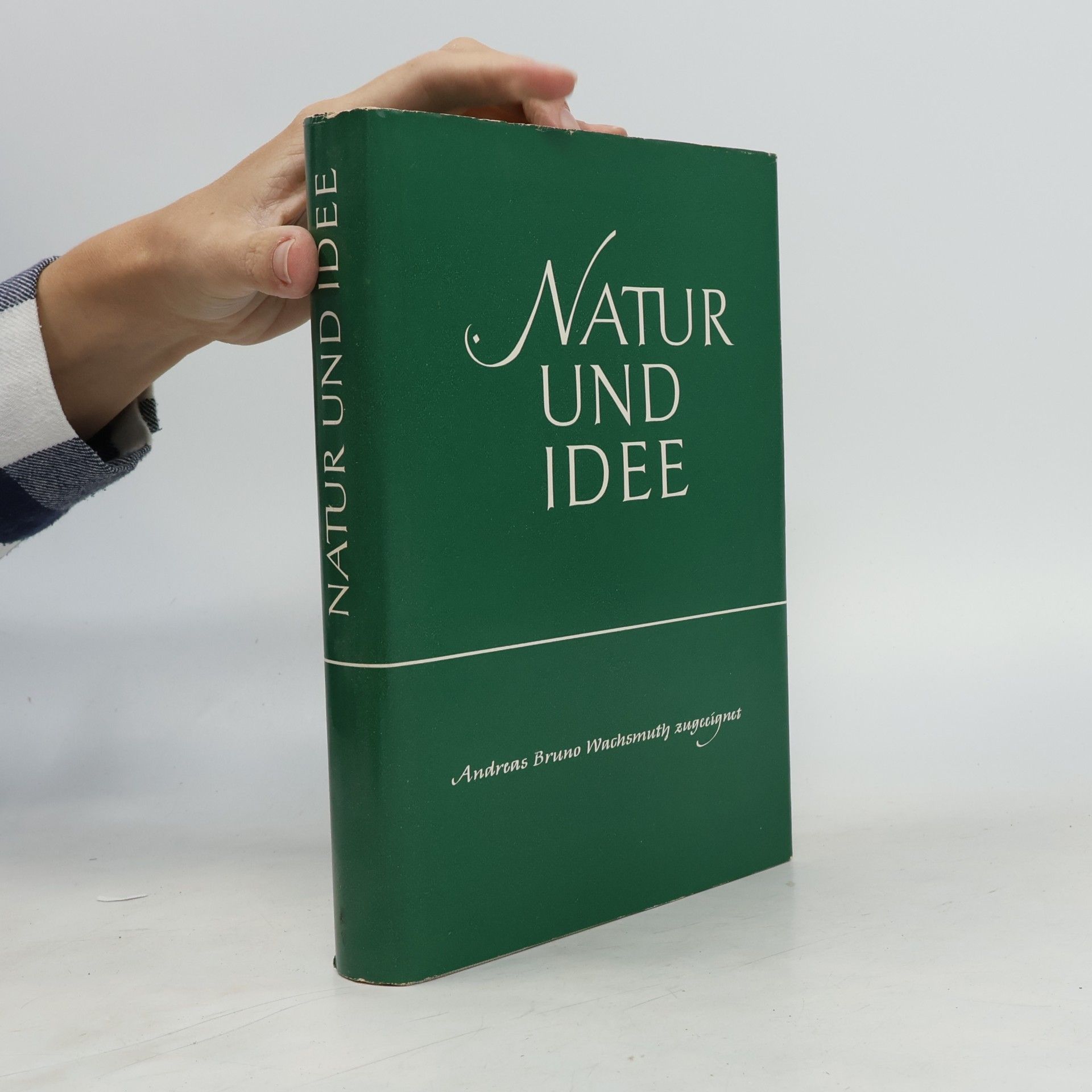Andreas Bruno Wachsmuth Natur und Idee