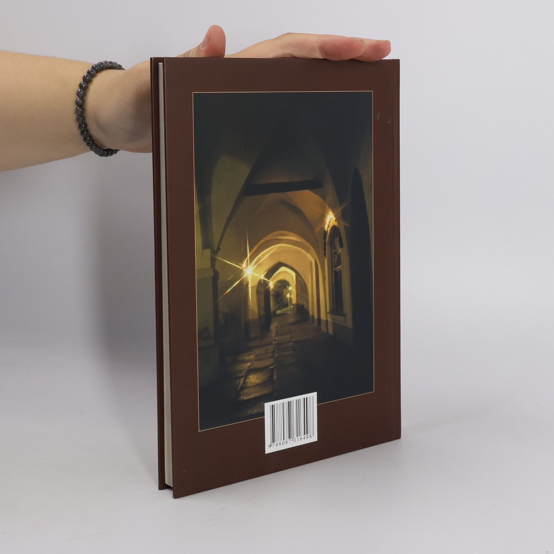 Zdeněk Procházka Domažlice : historicko-turistický průvodce městem a jeho památkami = Domažlice (Taus) : historisch-touristischer Führer durch die Stadt und ihre Denkmäler