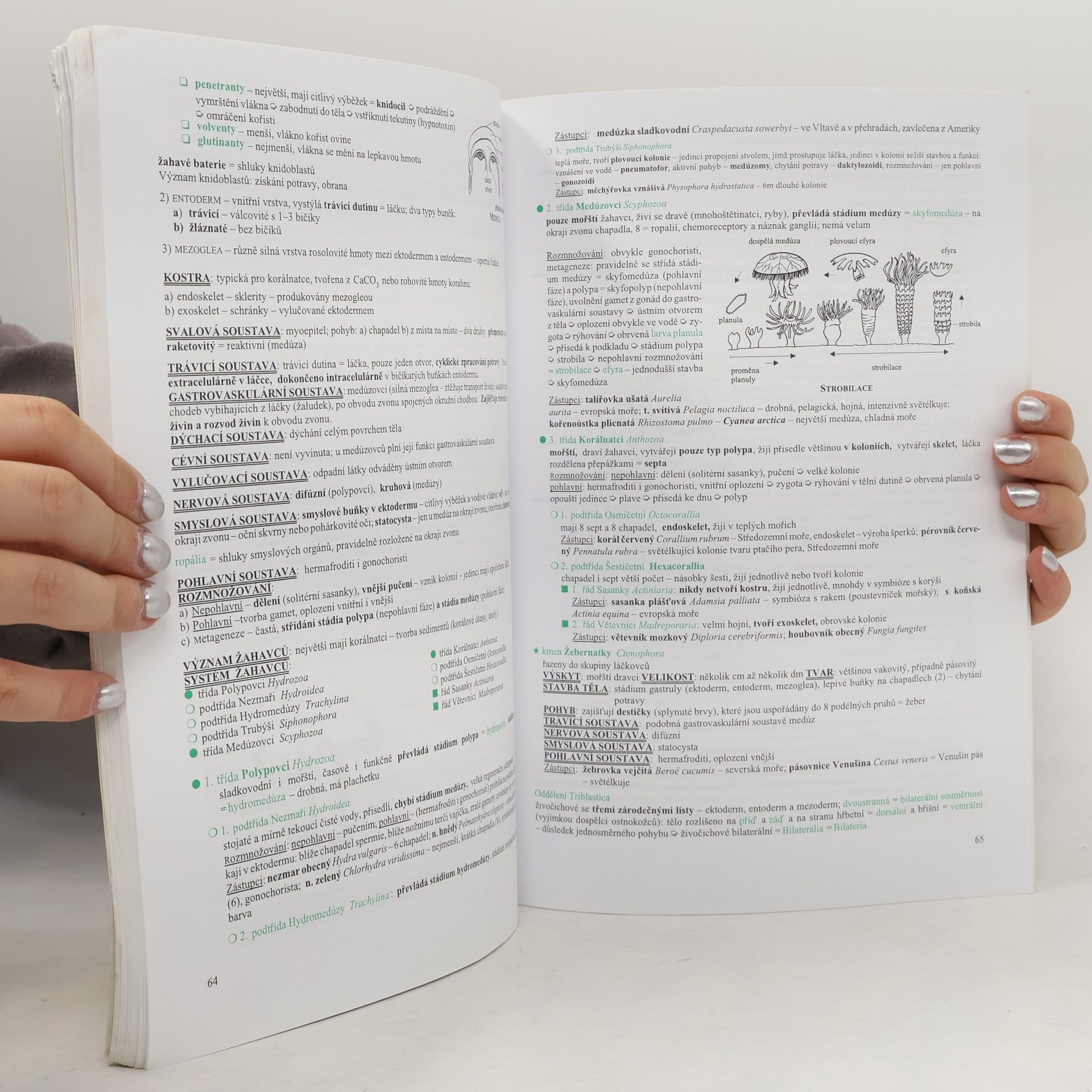 Hana Hančová Biologie v kostce. Pro střední školy. 2. díl.