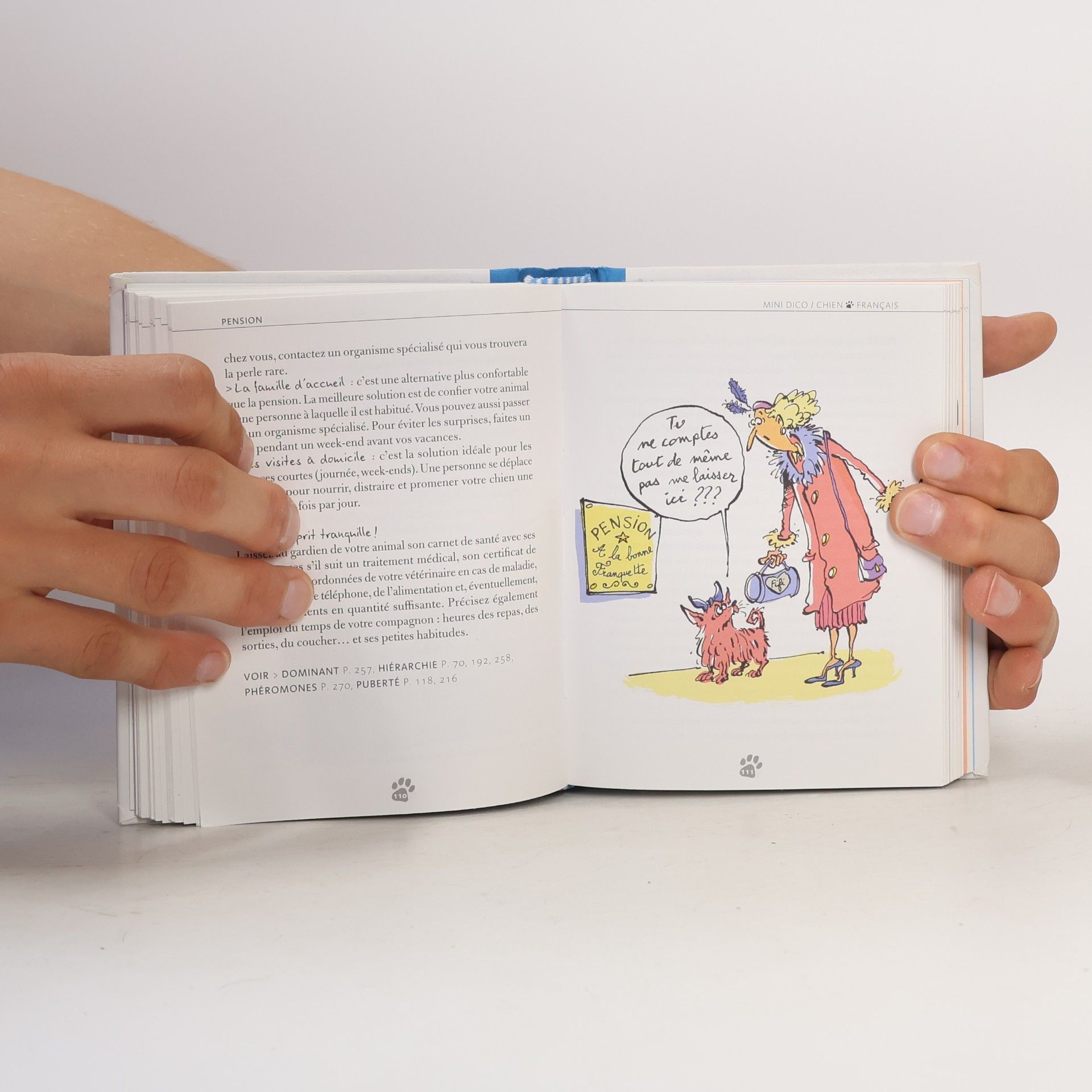Jean Cuvelier Mini dictionnaire bilingue français / chien, chien / français