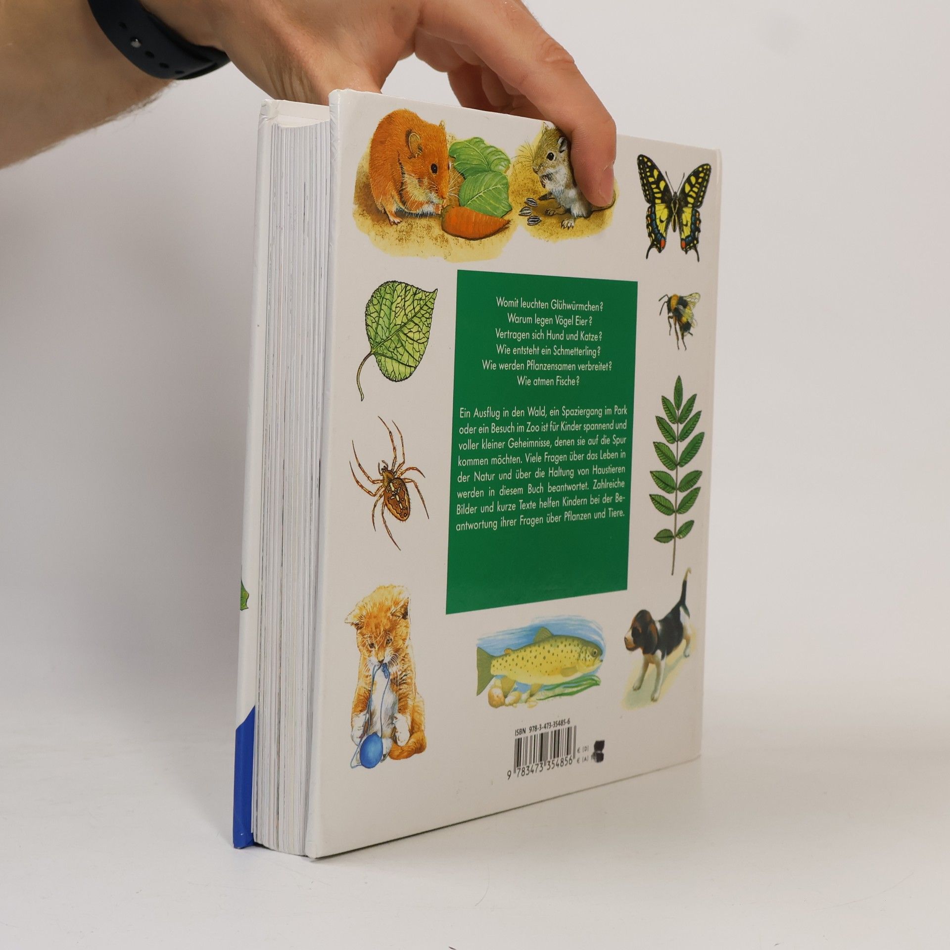 Ravensburger Buchverlag Alles was ich wissen will
