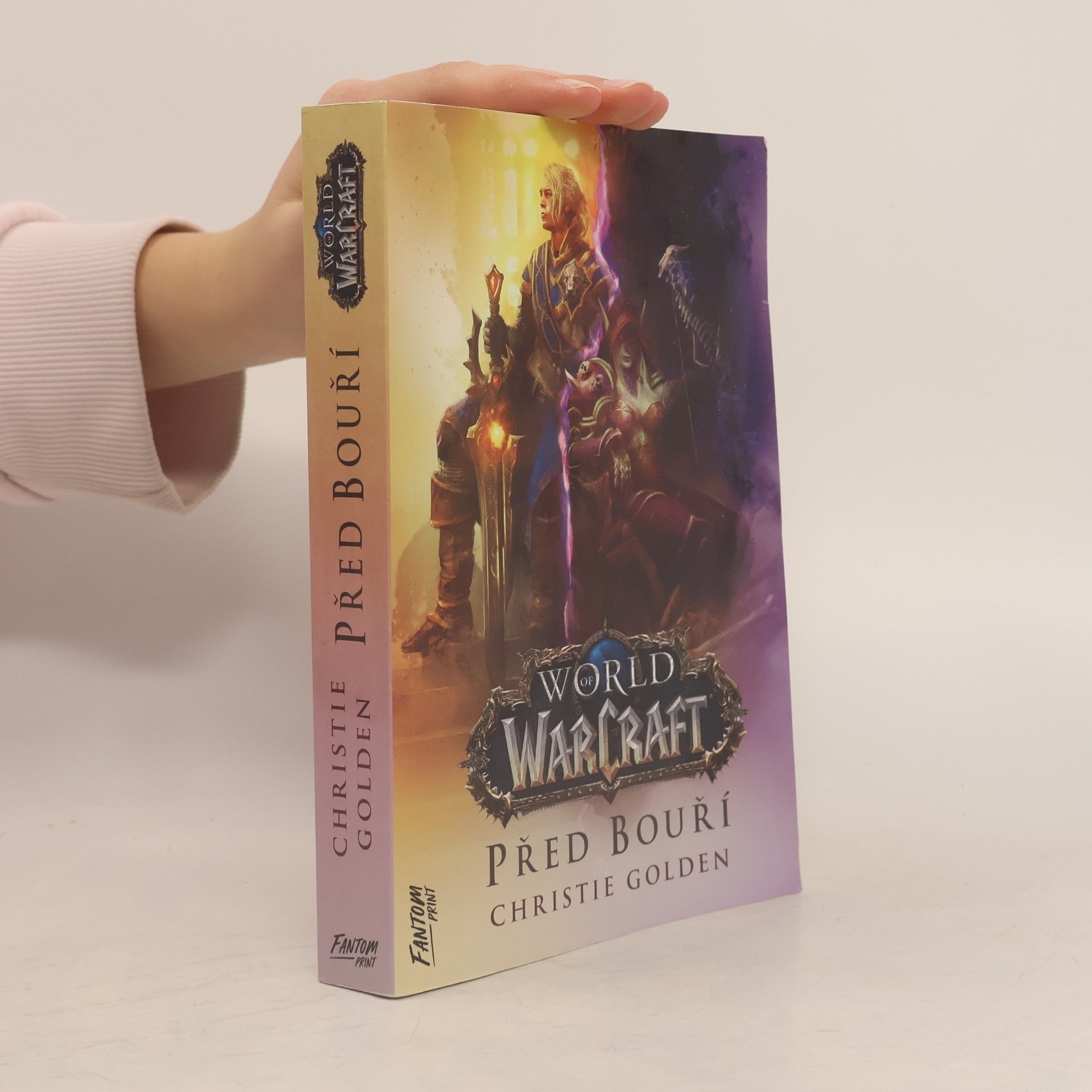 World of WarCraft. Před bouří