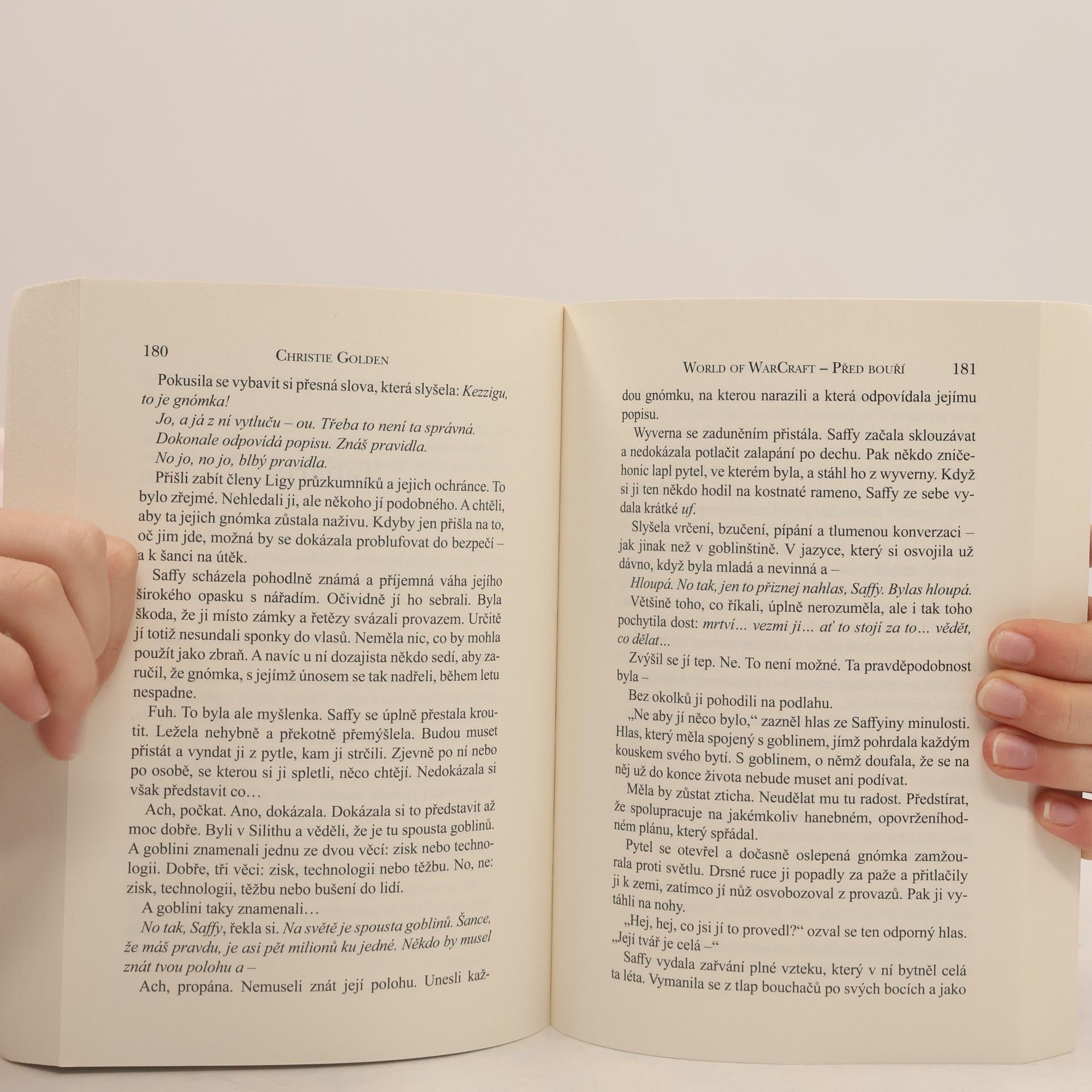 Christie Golden World of WarCraft. Před bouří