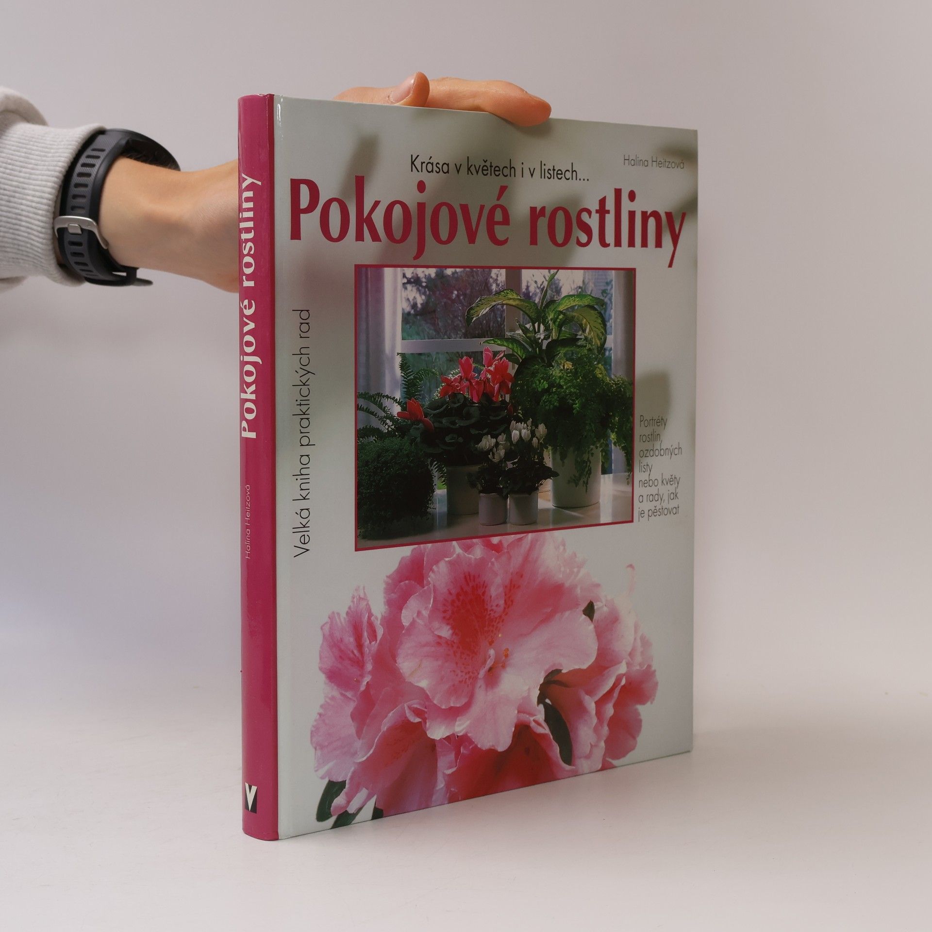 Halina Heitz Pokojové rostliny