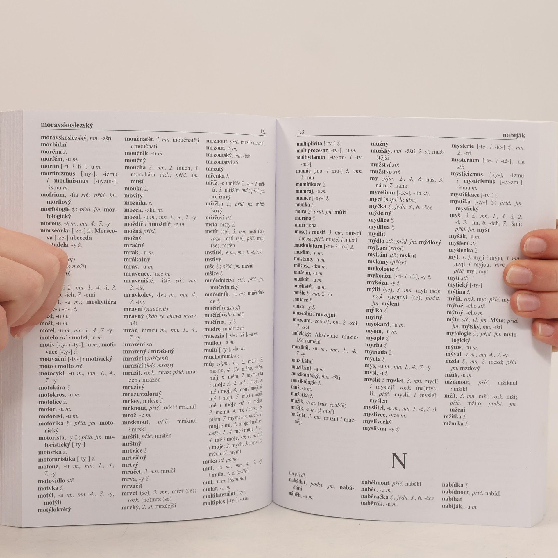 Autorenkollektiv Pravidla českého pravopisu