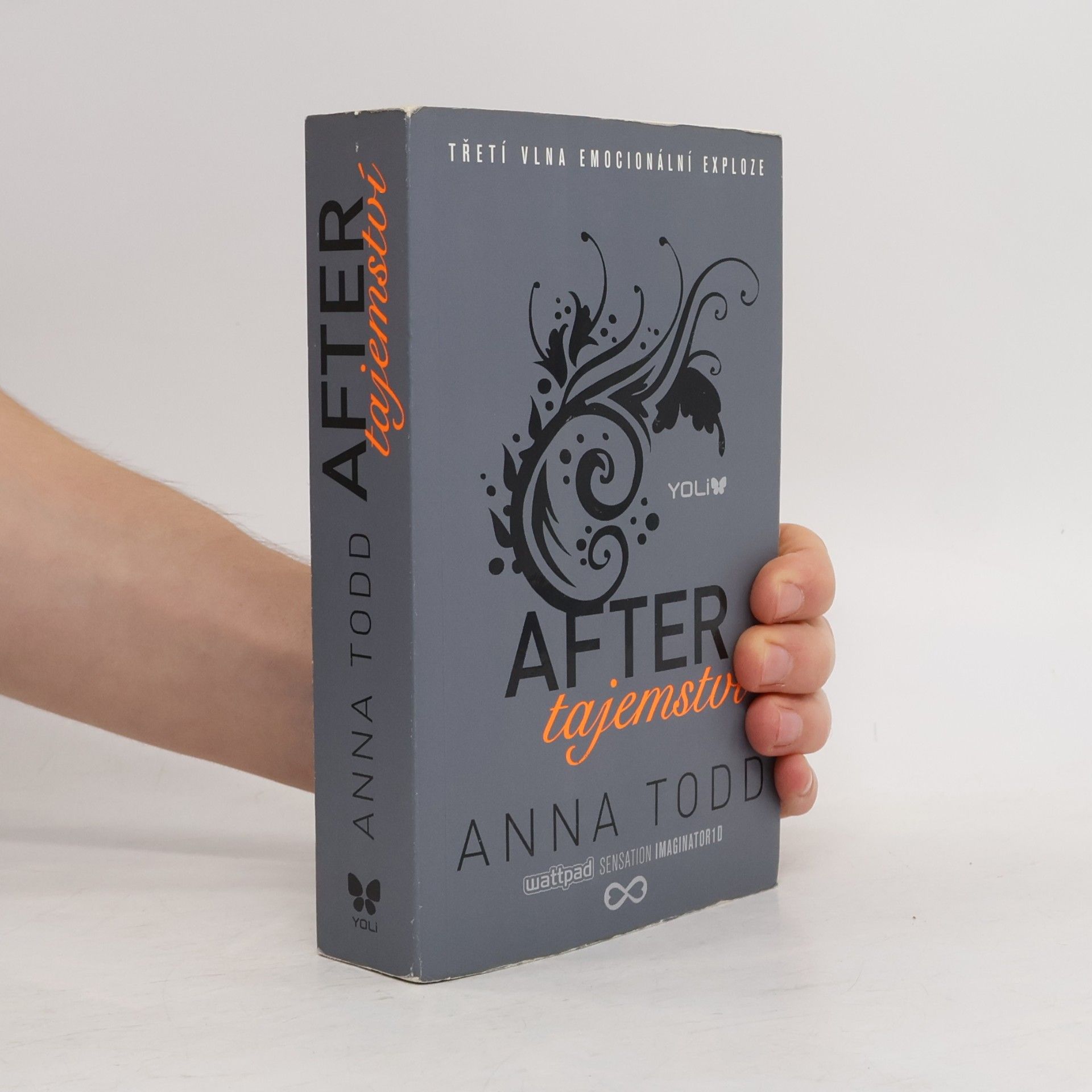 Anna Todd After. Tajemství