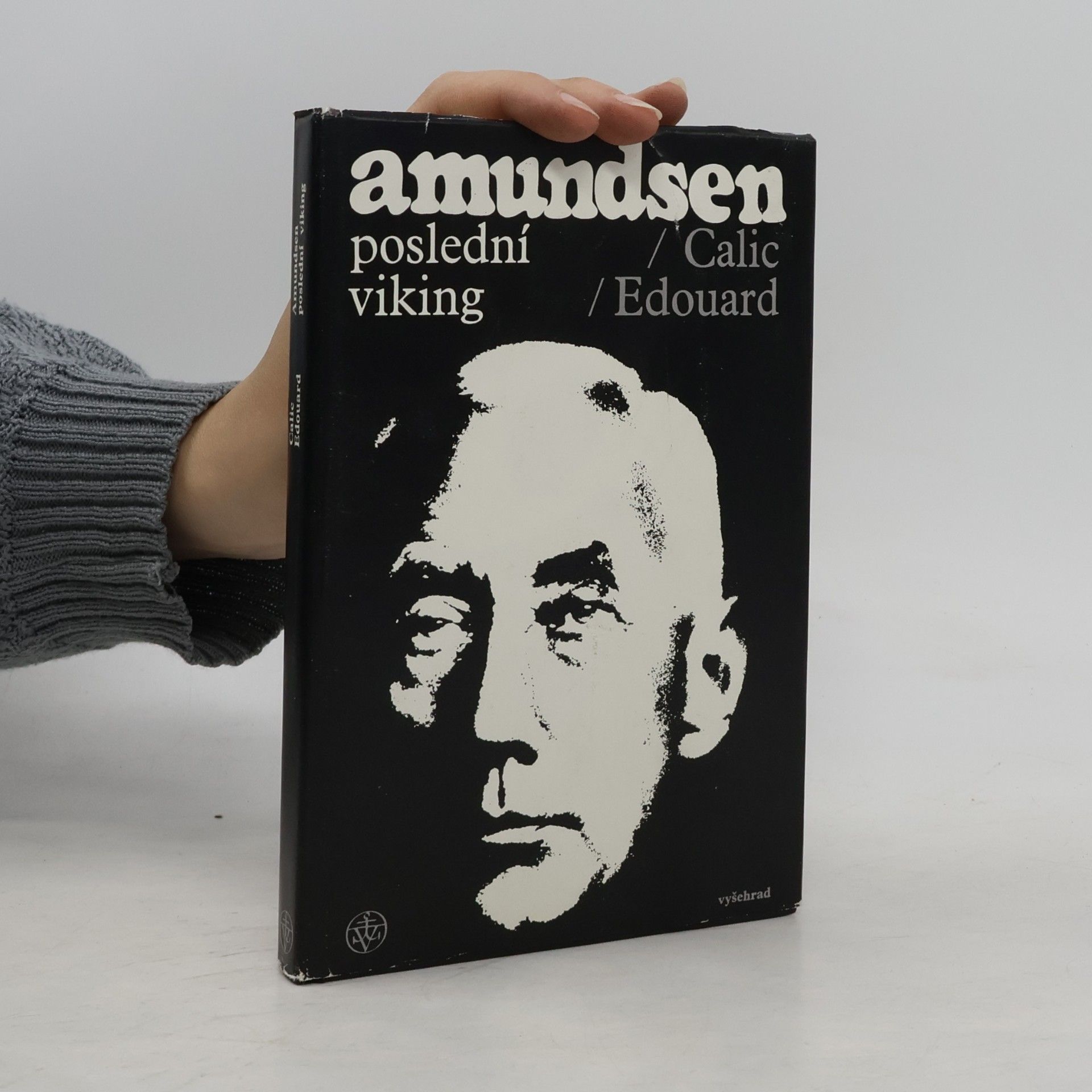 Amundsen. Poslední viking