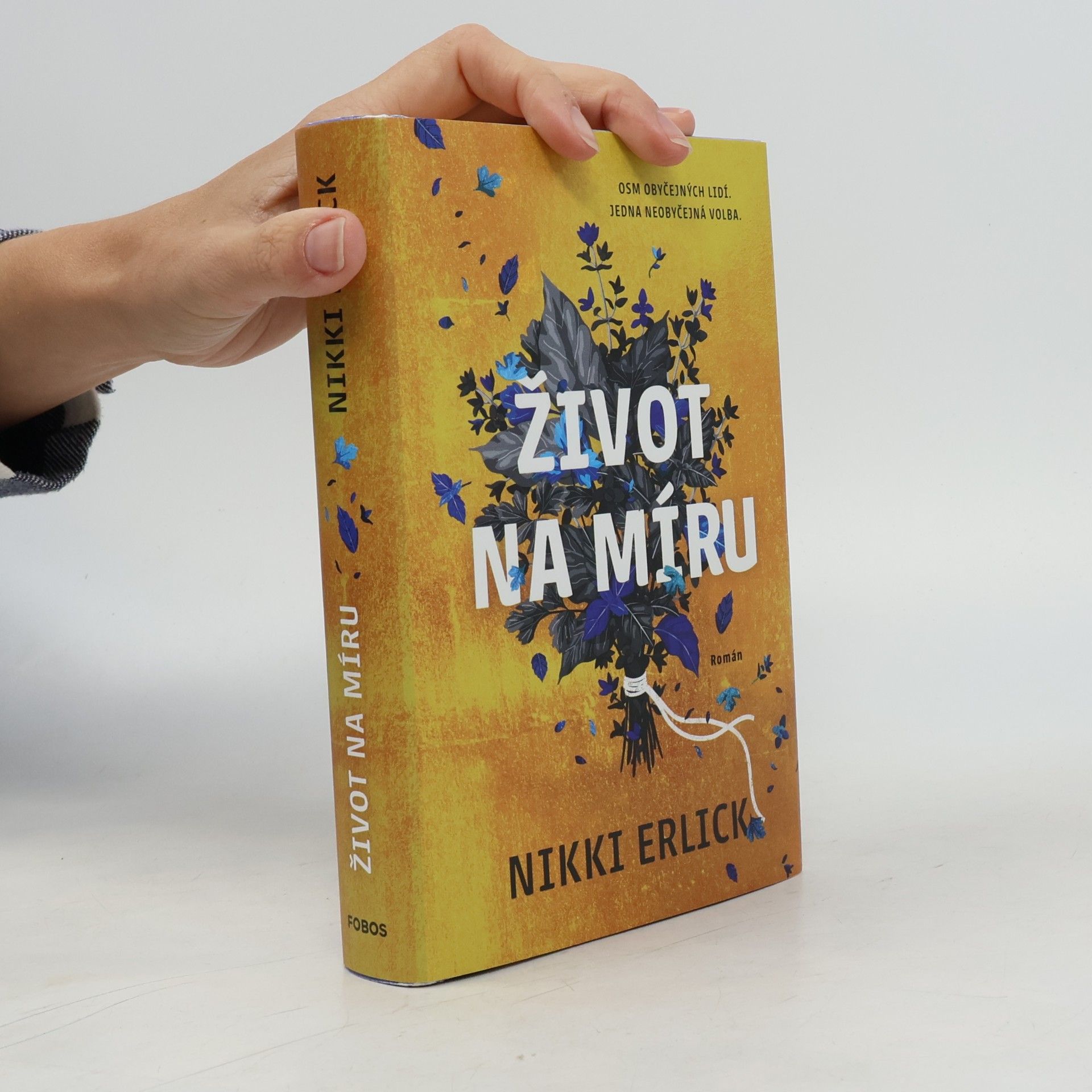 Nikki Erlick Život na míru