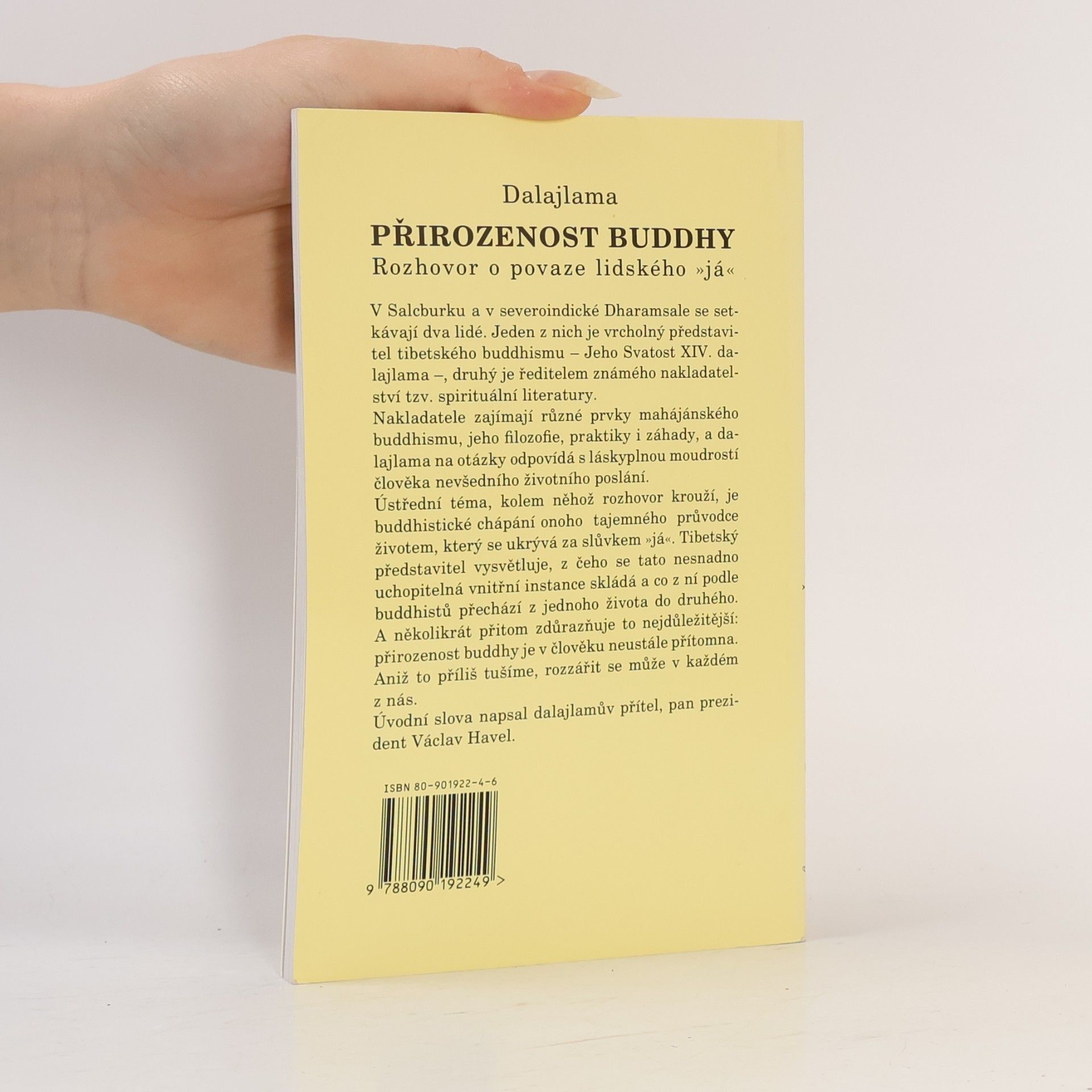 Bstan\'dzinrgyamtsho Přirozenost Buddhy. Rozhovor o povaze lidského "já"