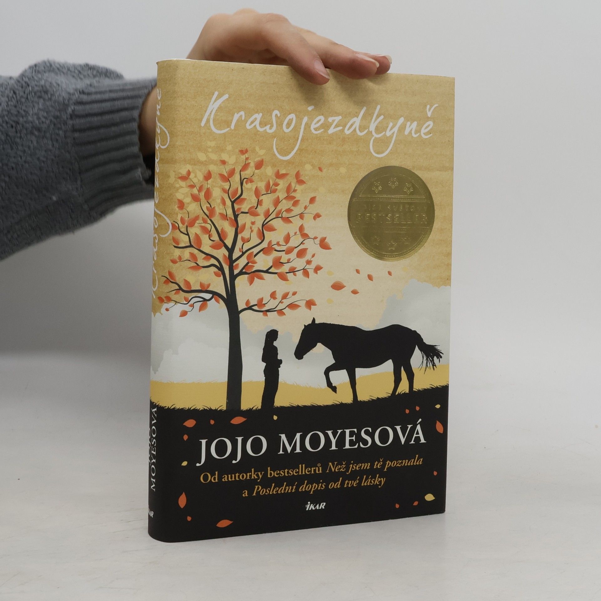 Jojo Moyesová Krasojezdkyně