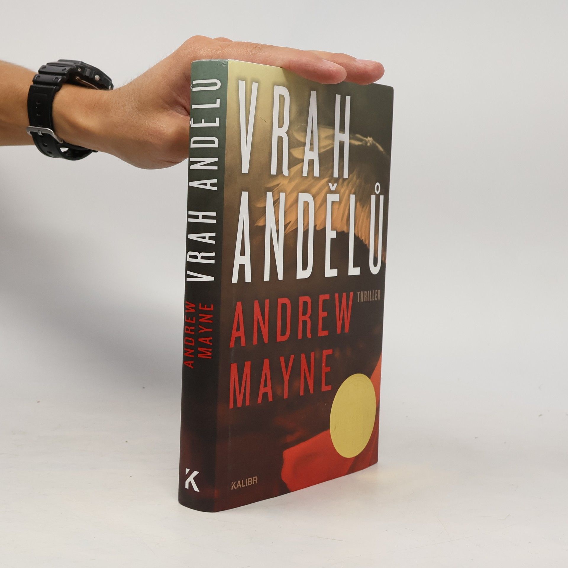 Andrew Mayne Vrah andělů