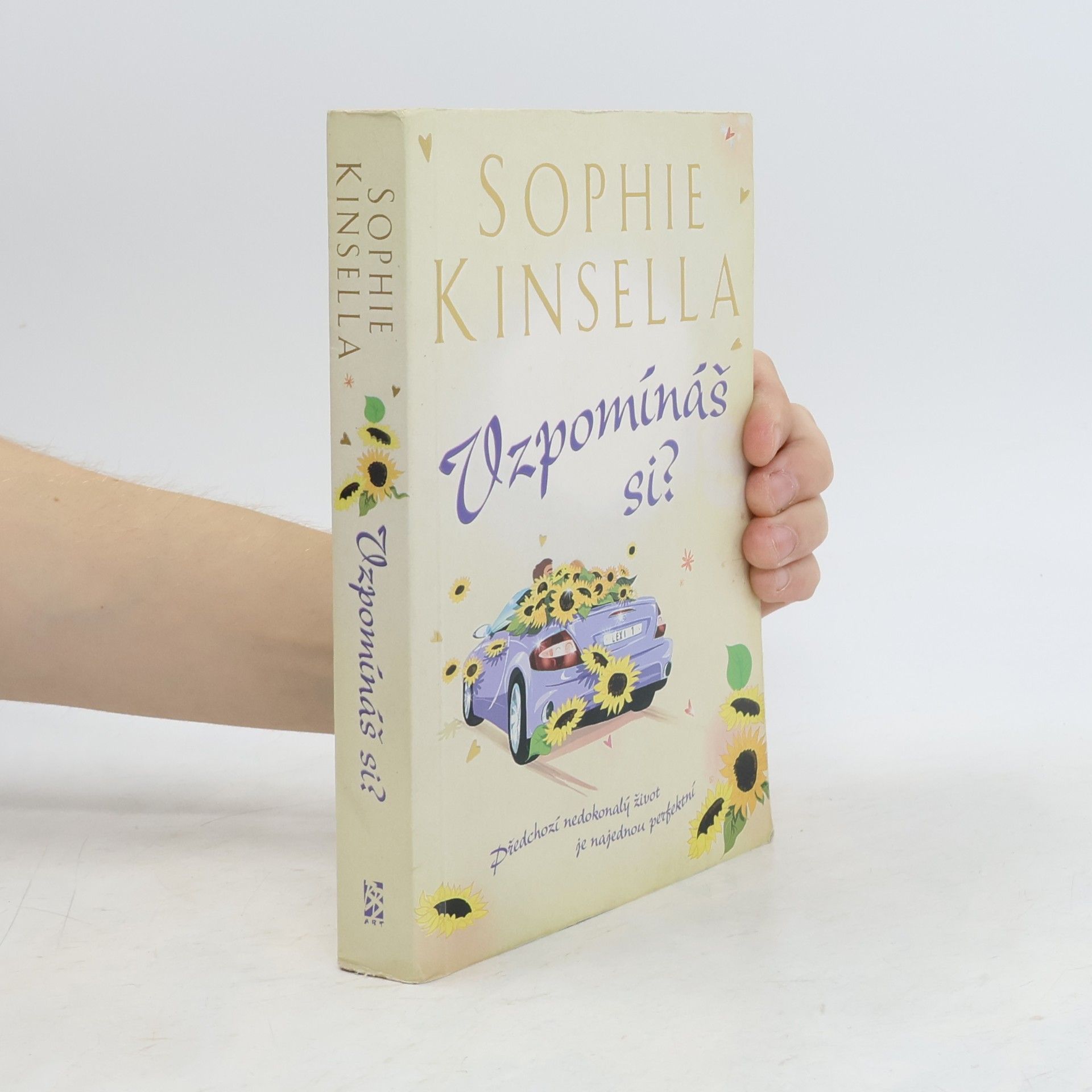 Sophie Kinsella Vzpomínáš si?