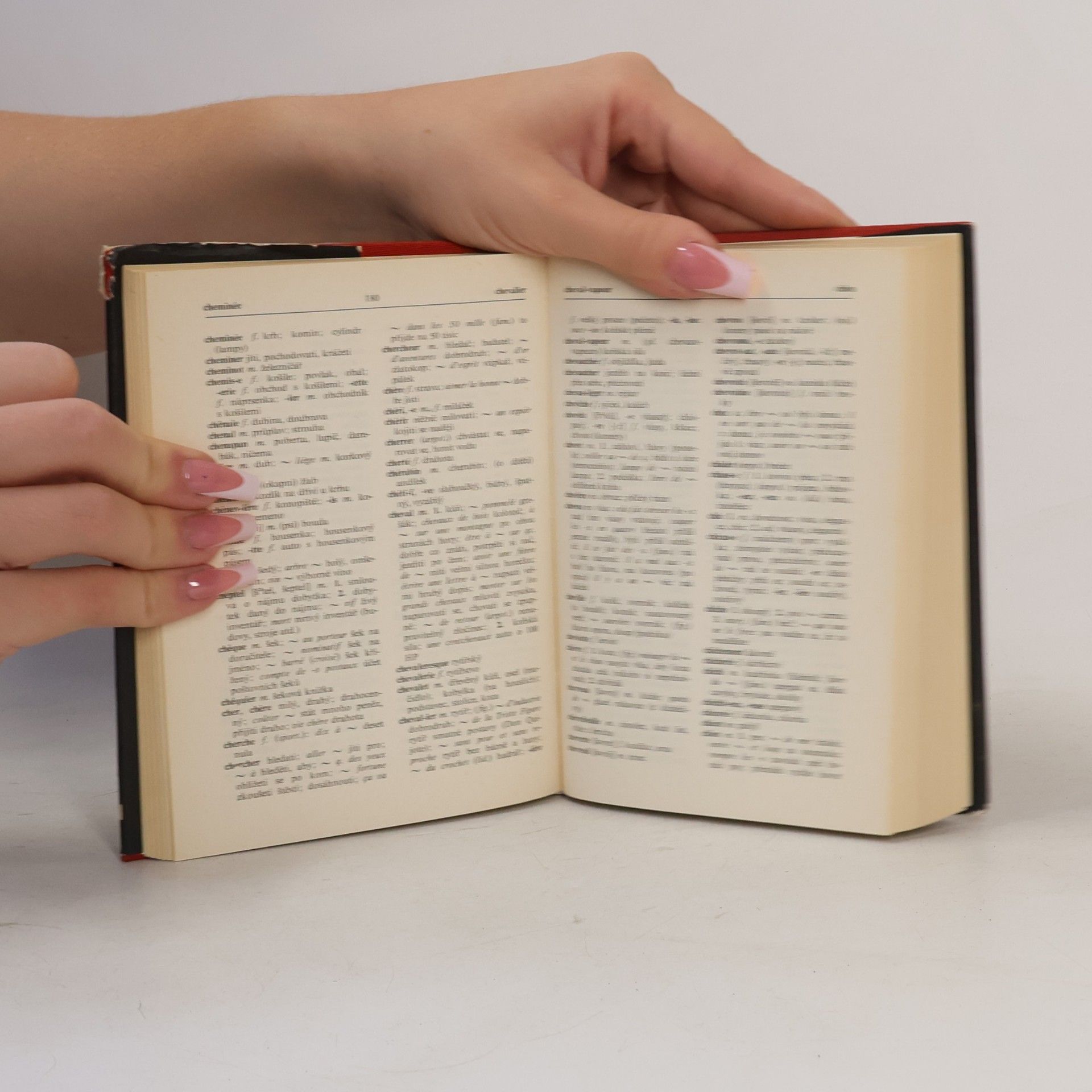 Autorenkollektiv Francouzko-český Česko-francouzský Slovník