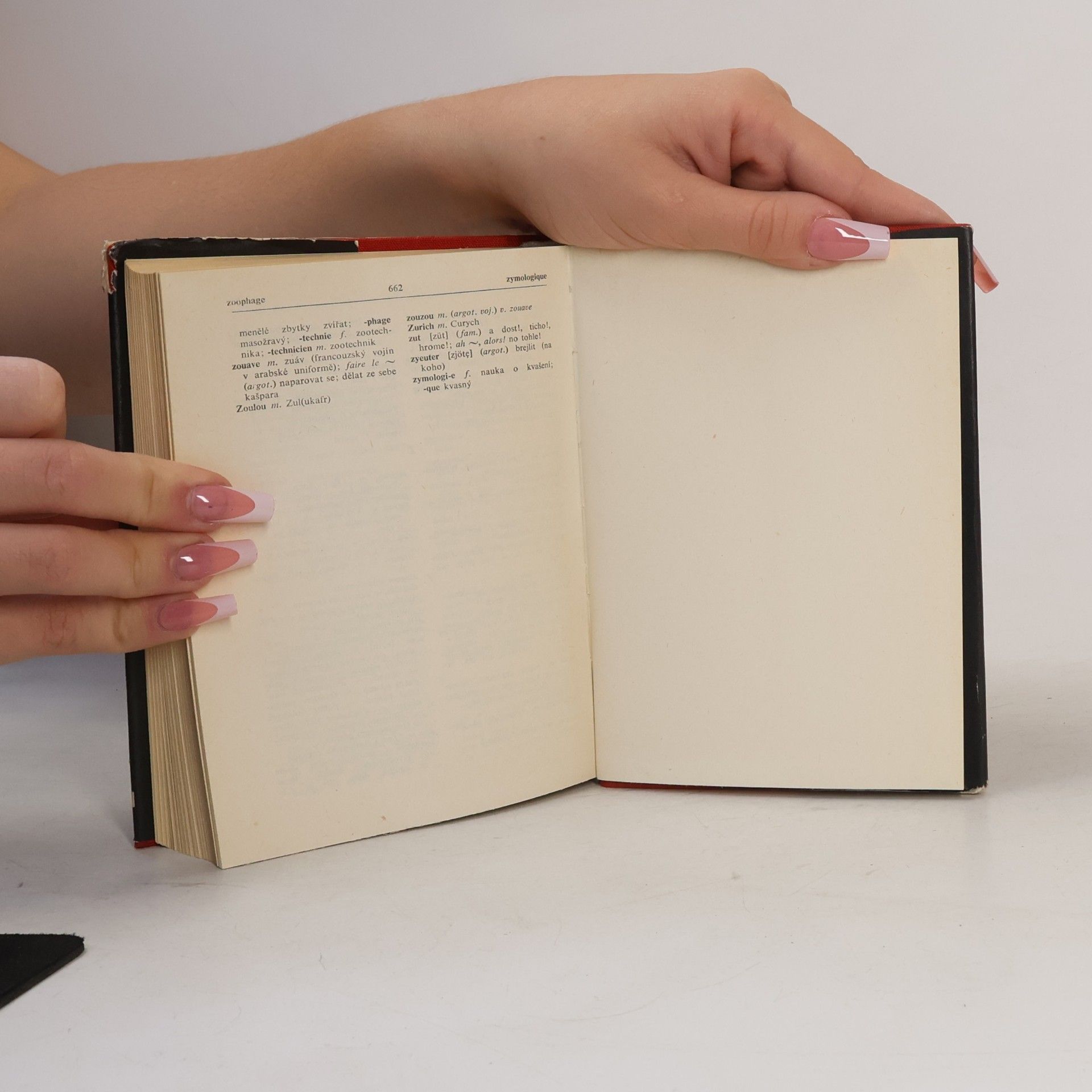 Autorenkollektiv Francouzko-český Česko-francouzský Slovník