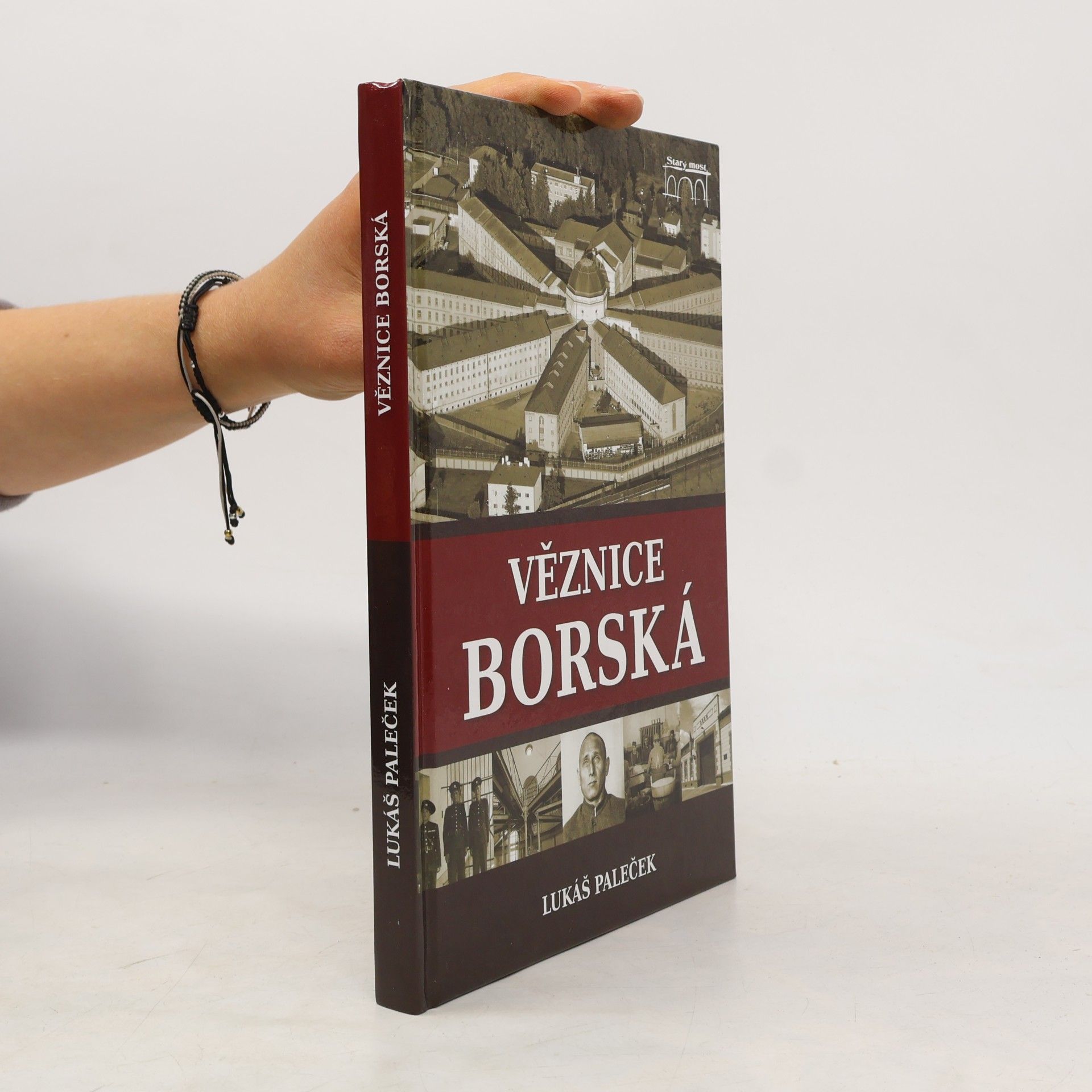 Lukáš Paleček Věznice borská