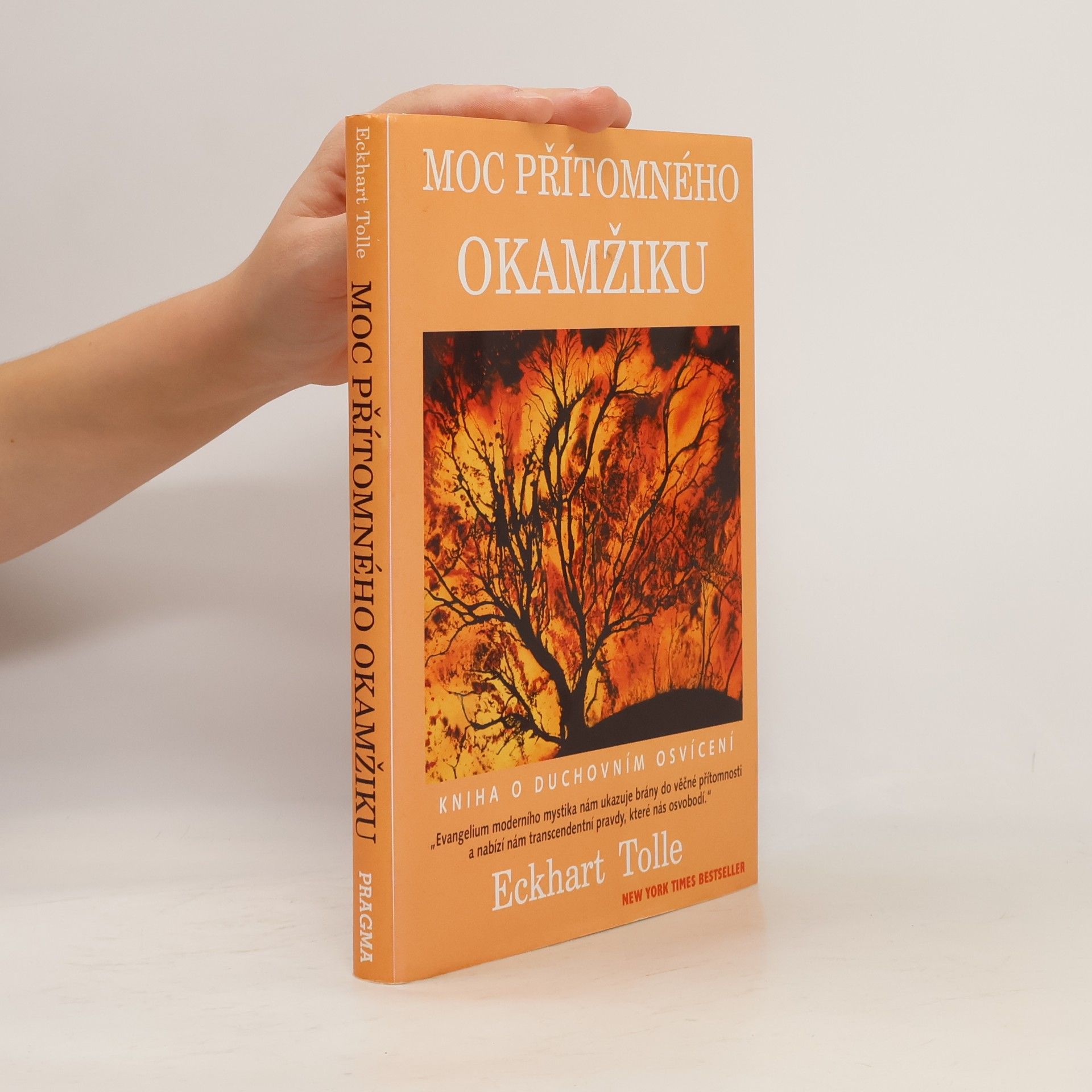 Moc přítomného okamžiku