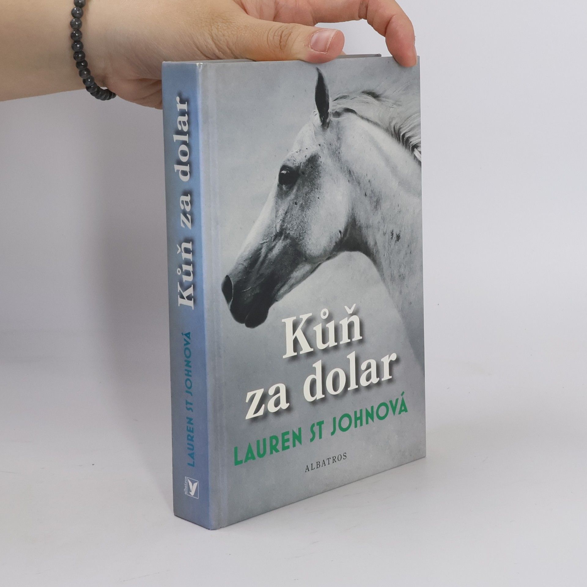 Lauren St. John Kůň za dolar