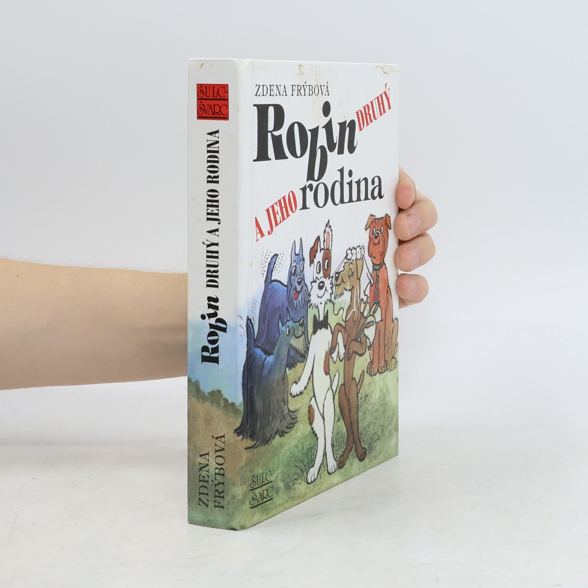 Zdena Frýbová Robin Druhý a jeho rodina