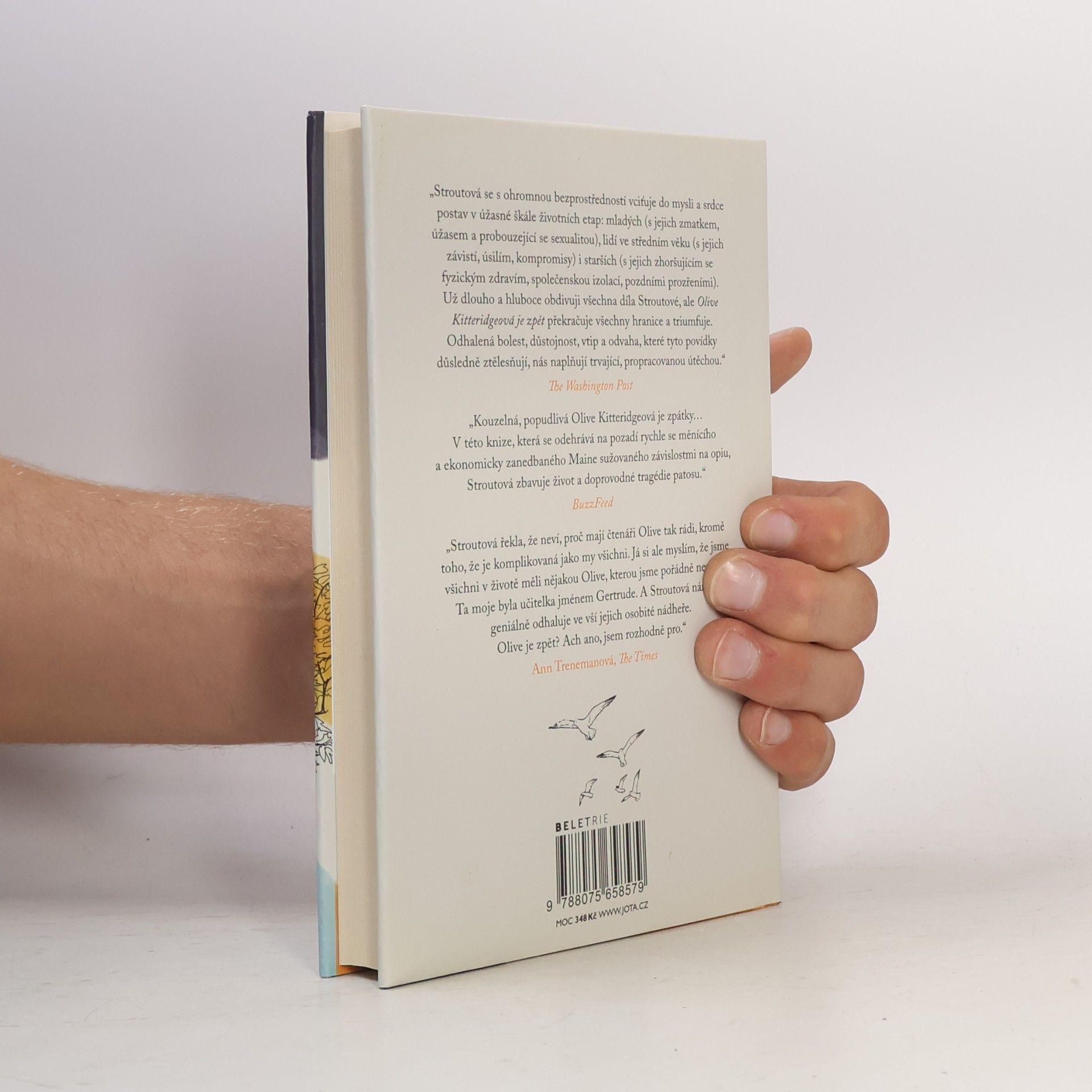 Elizabeth Strout Olive Kitteridgeová je zpět