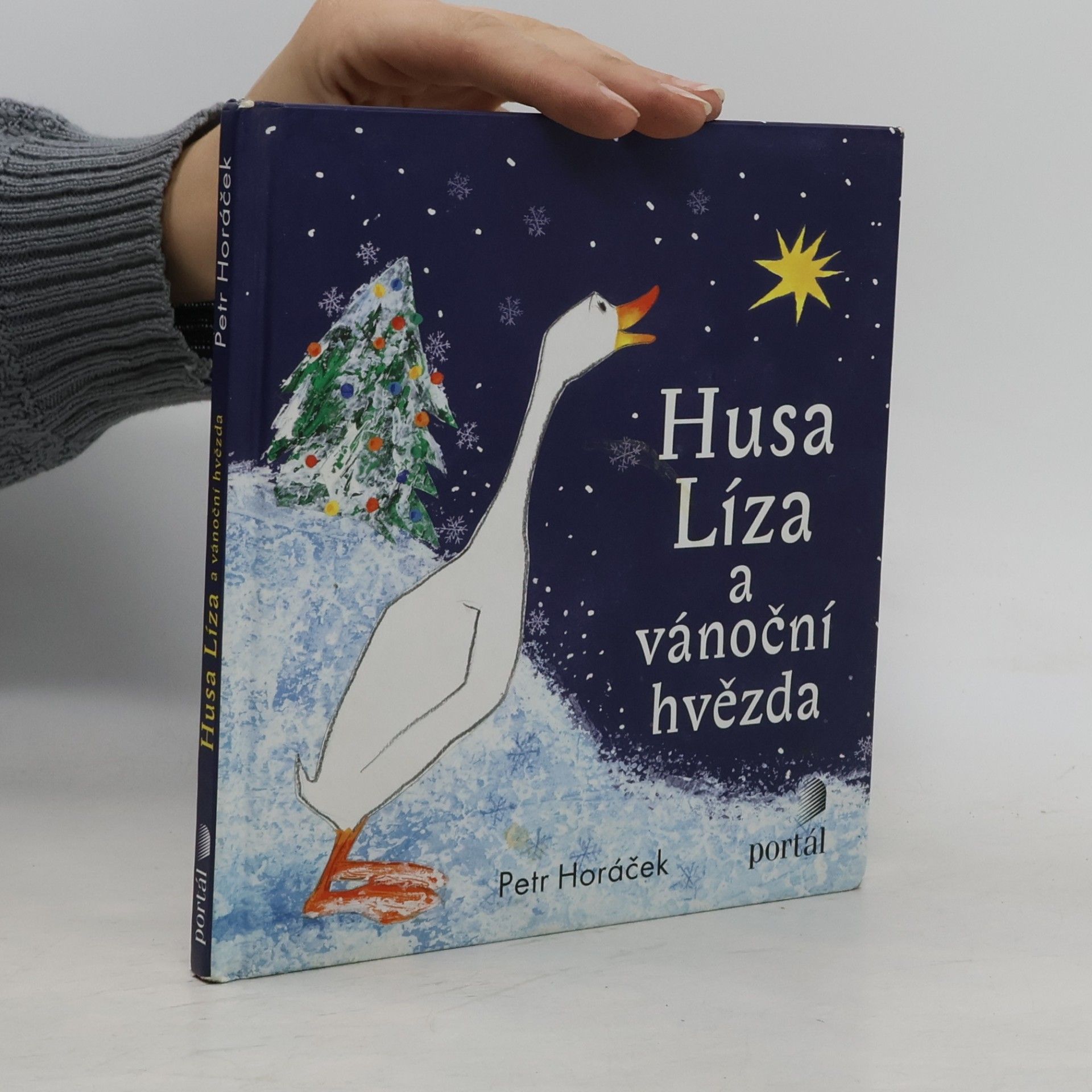 Petr Horác̆ek Husa Líza a vánoční hvězda