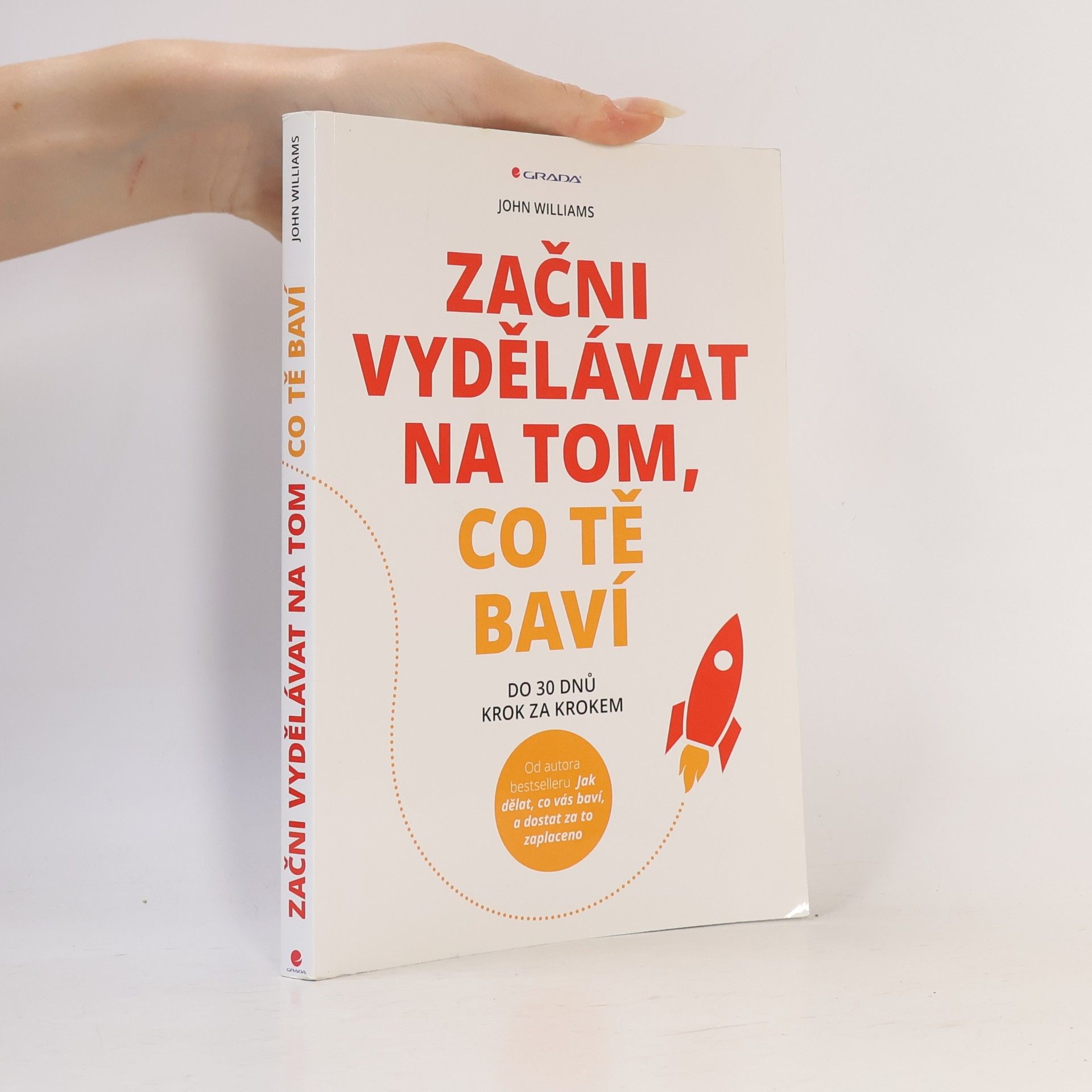 Začni vydělávat na tom, co tě baví : Do 30 dnů krok za krokem