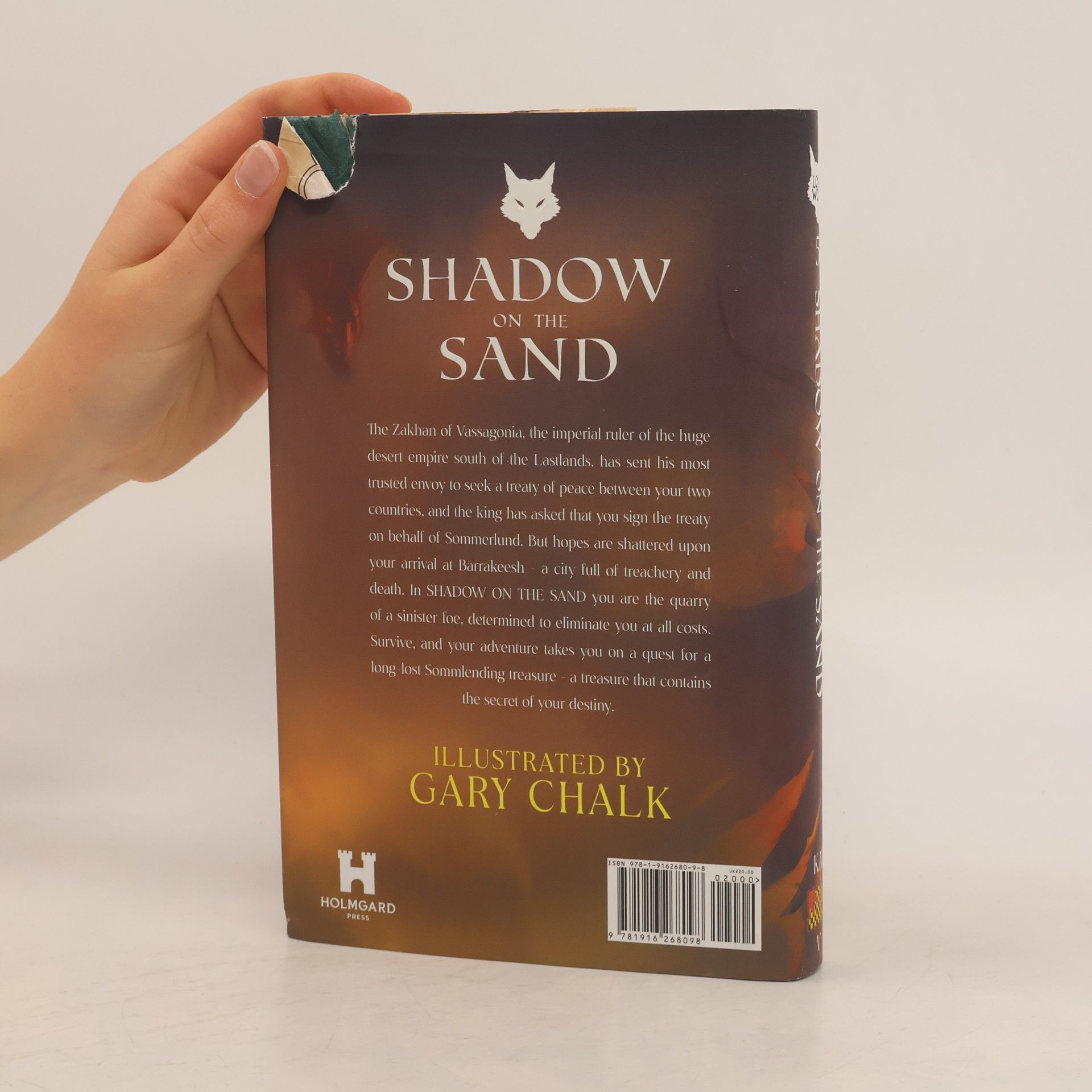 Joe Dever Shadow on the Sand