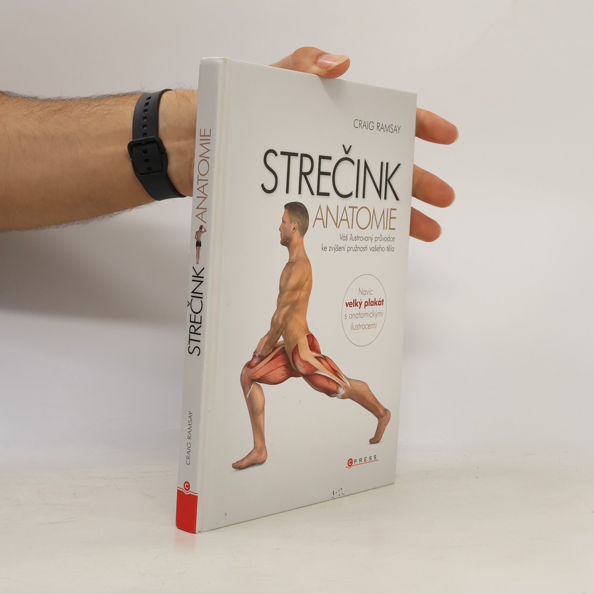 Craig Ramsay Strečink - anatomie
