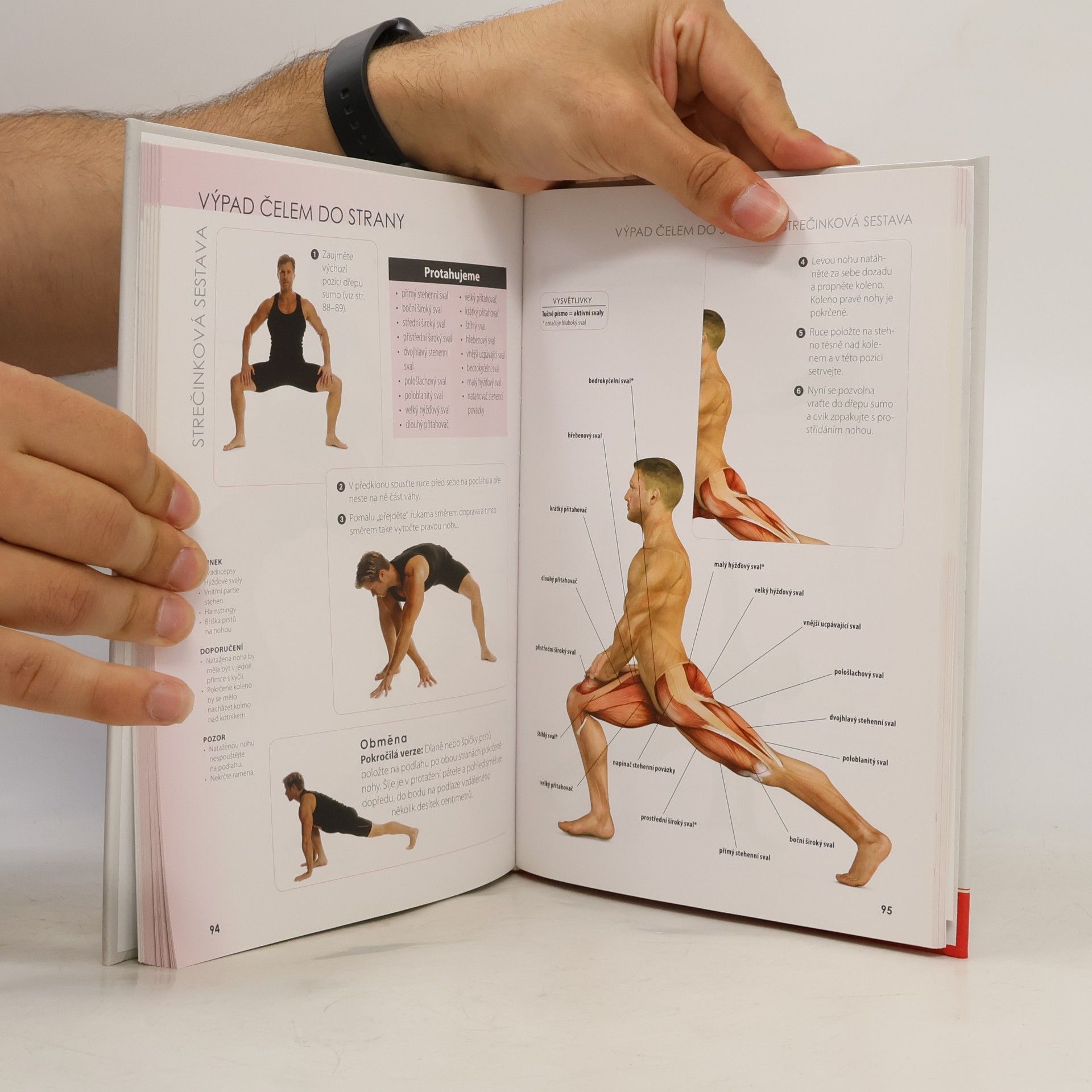 Craig Ramsay Strečink - anatomie