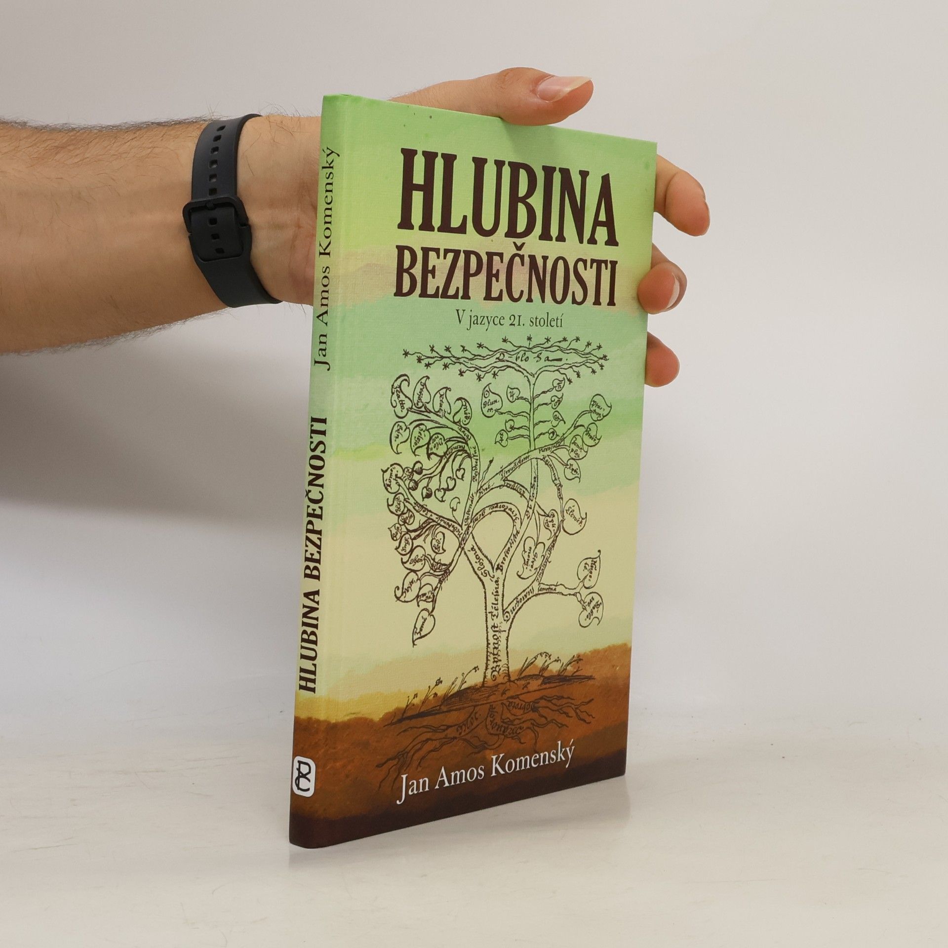 Johann Amos Comenius Hlubina bezpečnosti
