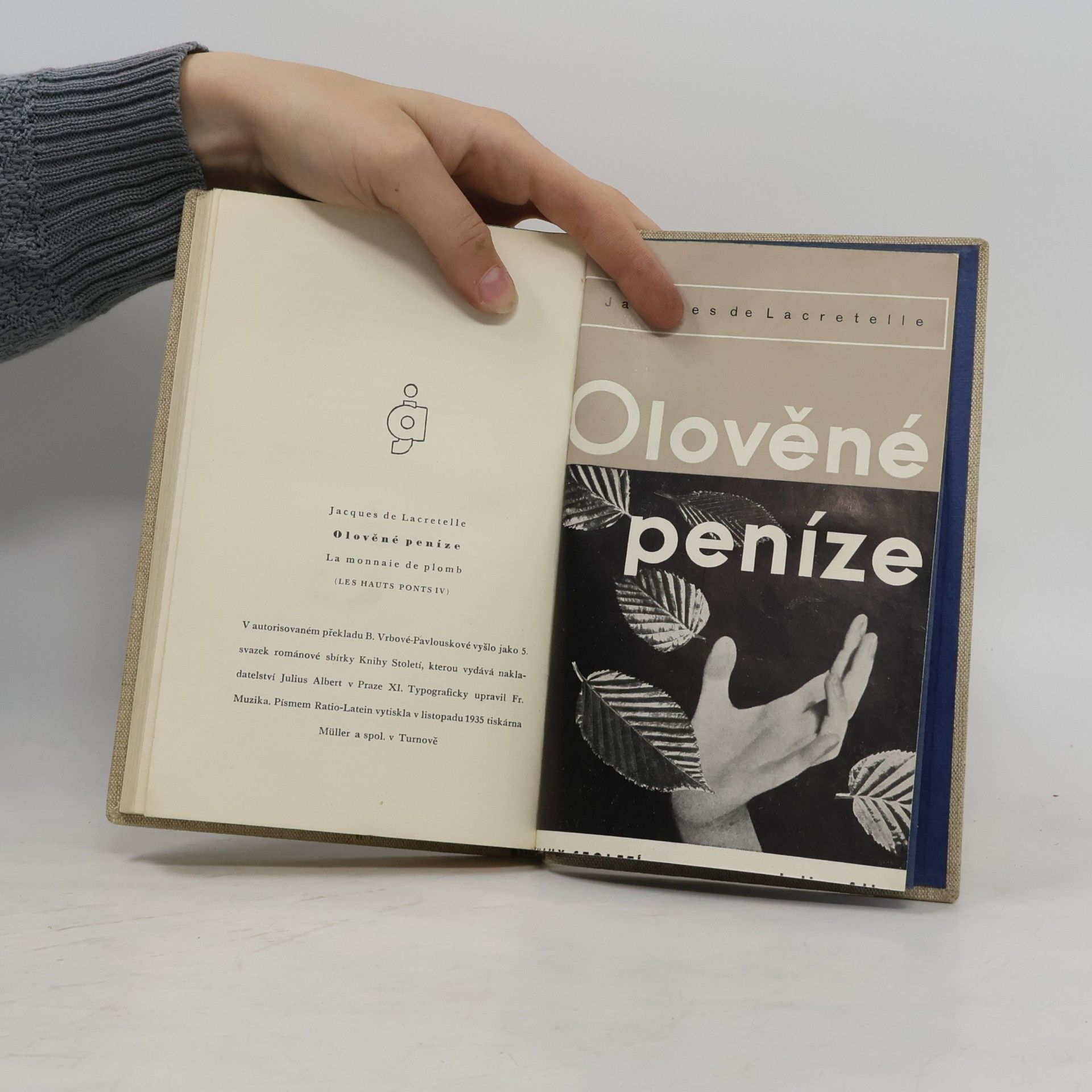 De Stelle Dřevěné peníze