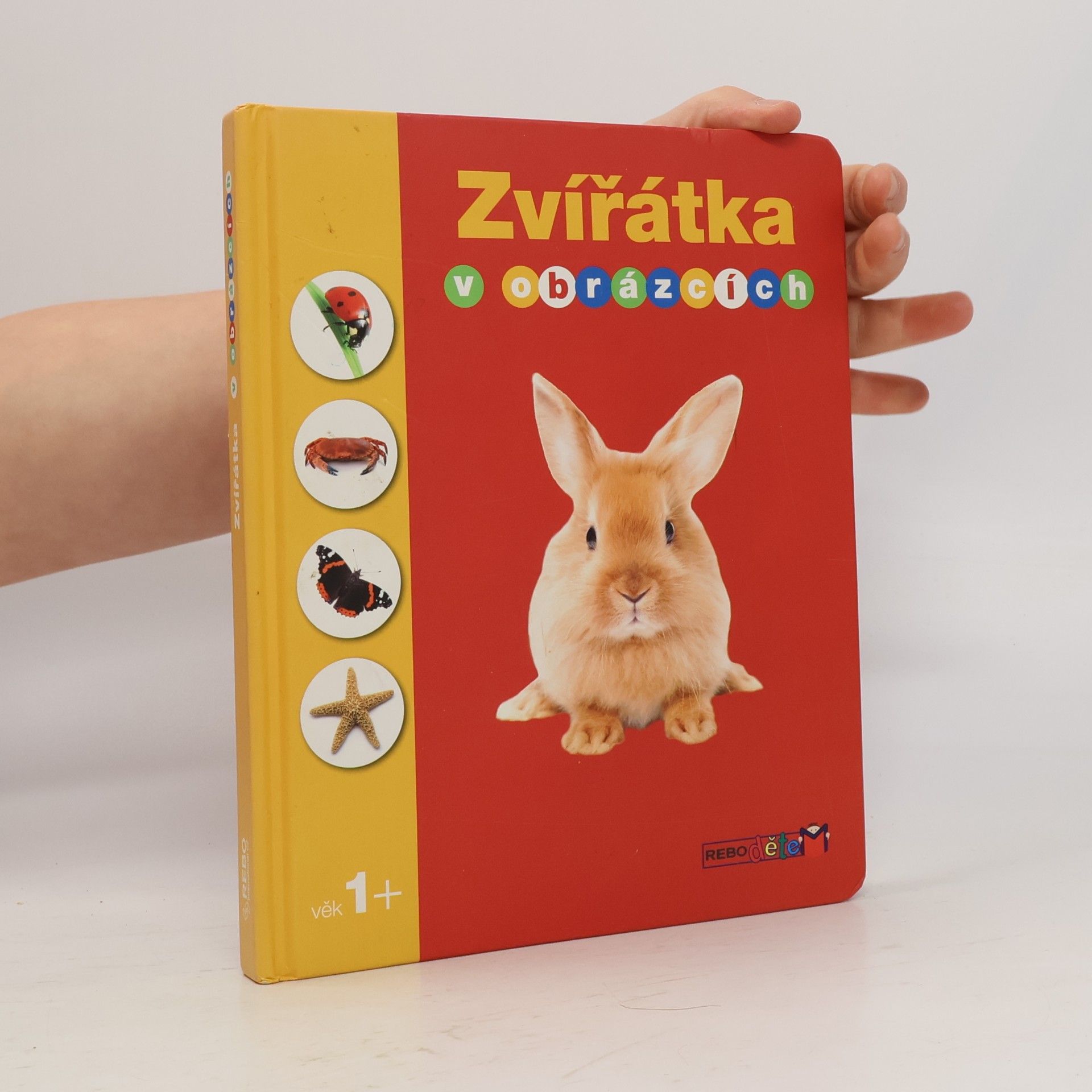 Autorenkollektiv Zvířátka v obrázcích