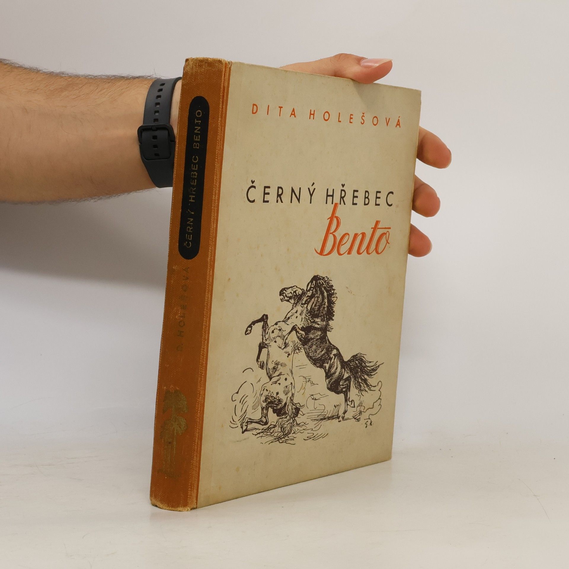 Dita Holešová Černý hřebec Bento