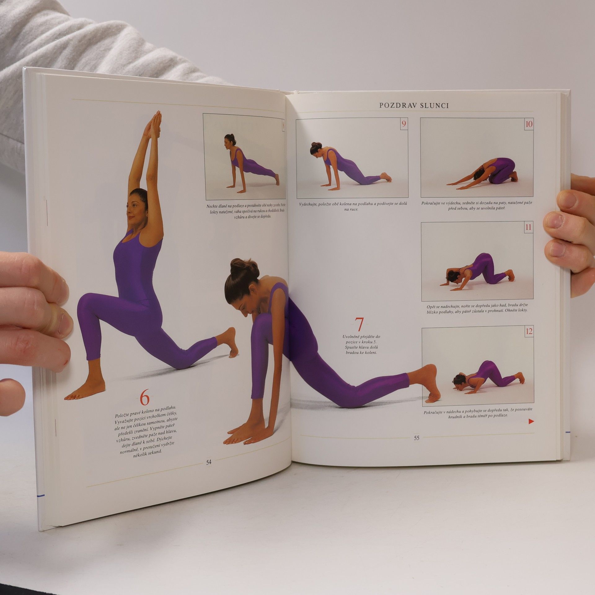 Vimla Lalvani Klasická jóga. Nový přístup k fitness a relaxaci.
