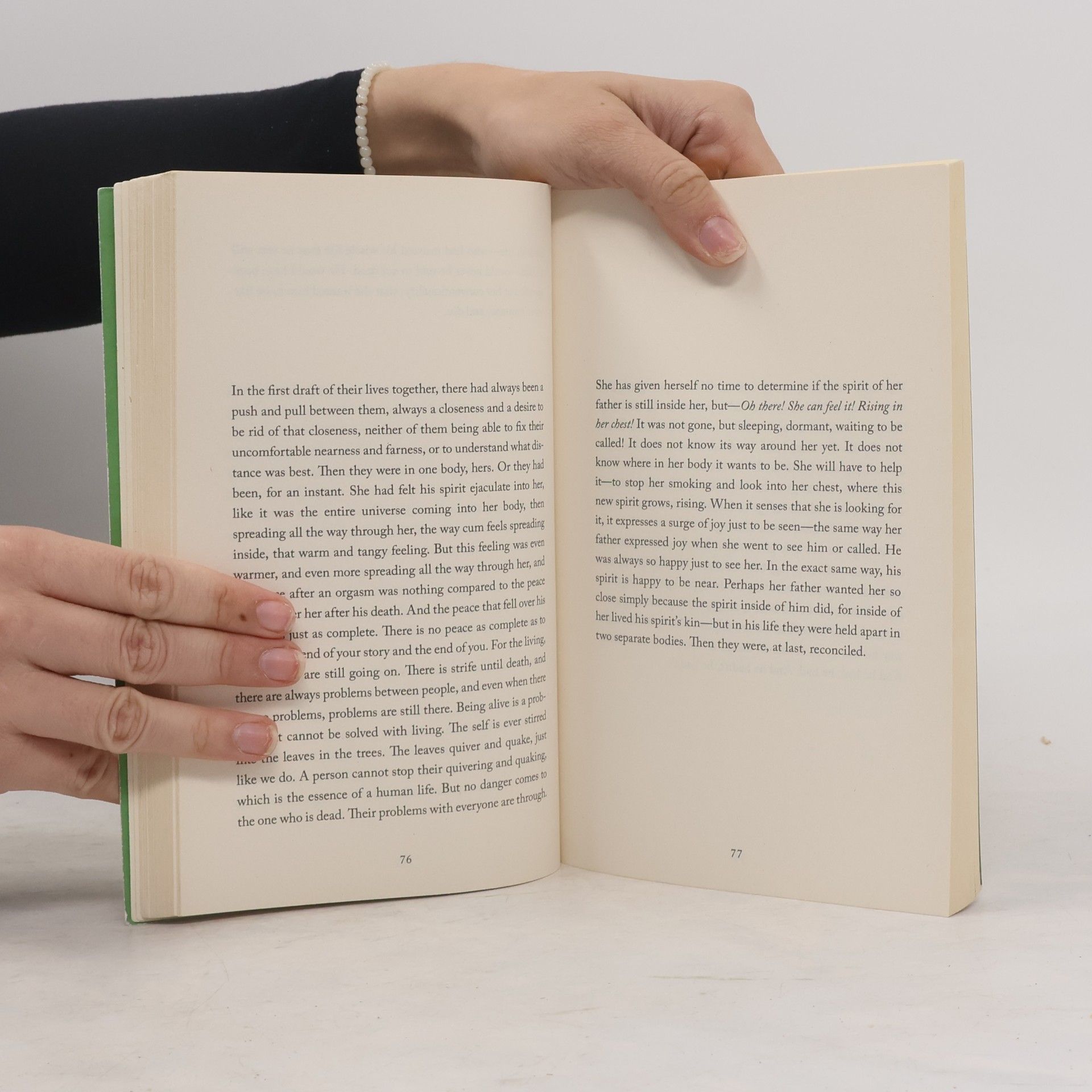 Sheila Heti Pure colour