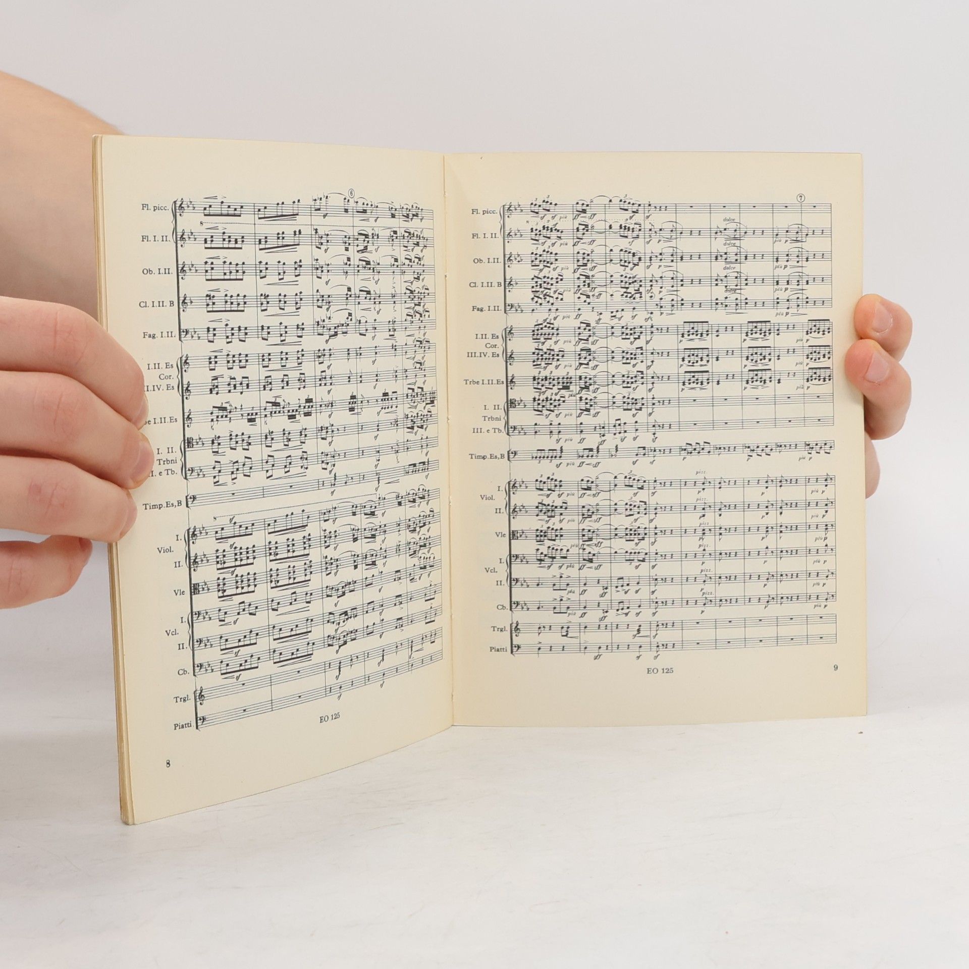 Bedřich Smetana Má Vlast: I Vyšehrad