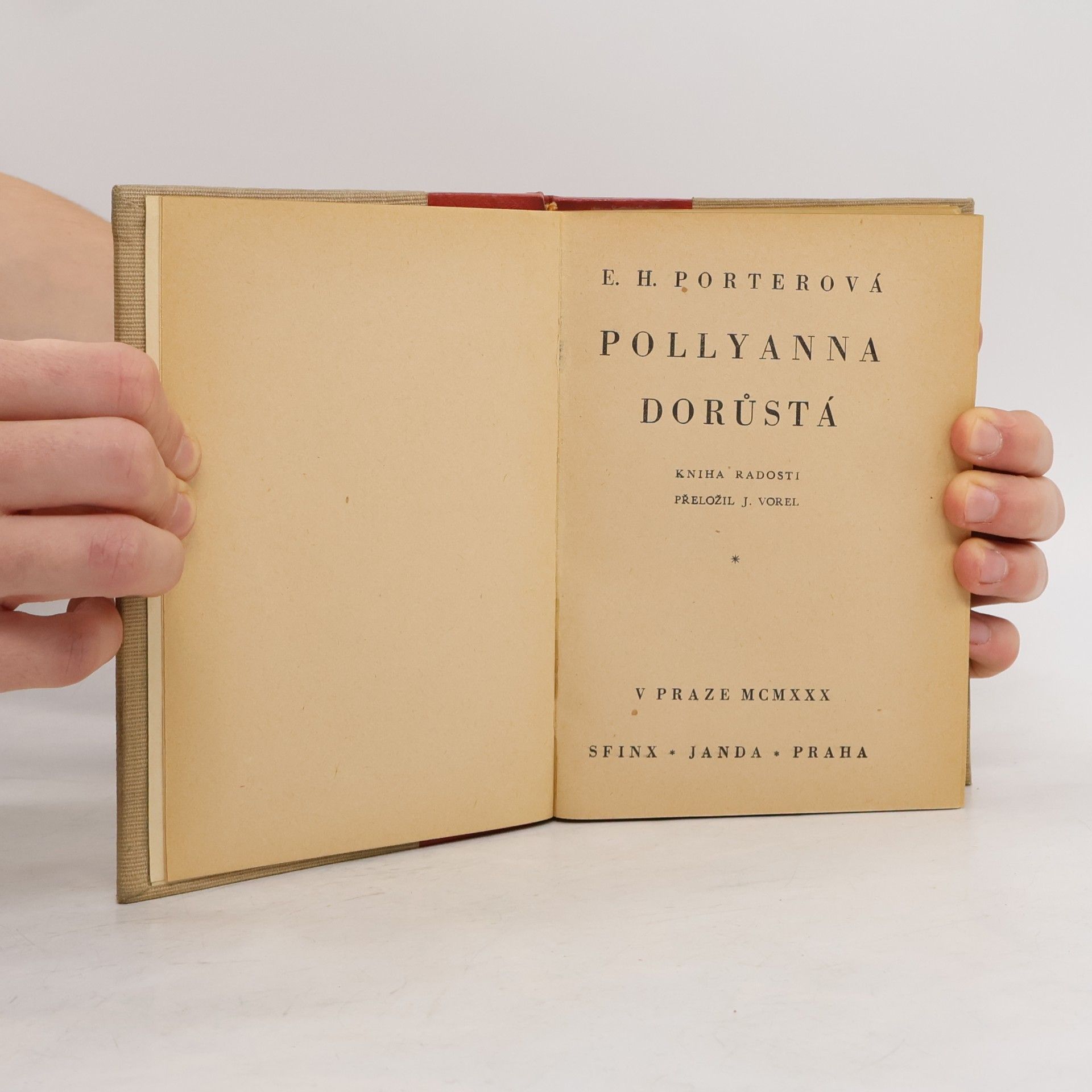 E.H. Porterová Pollyanna