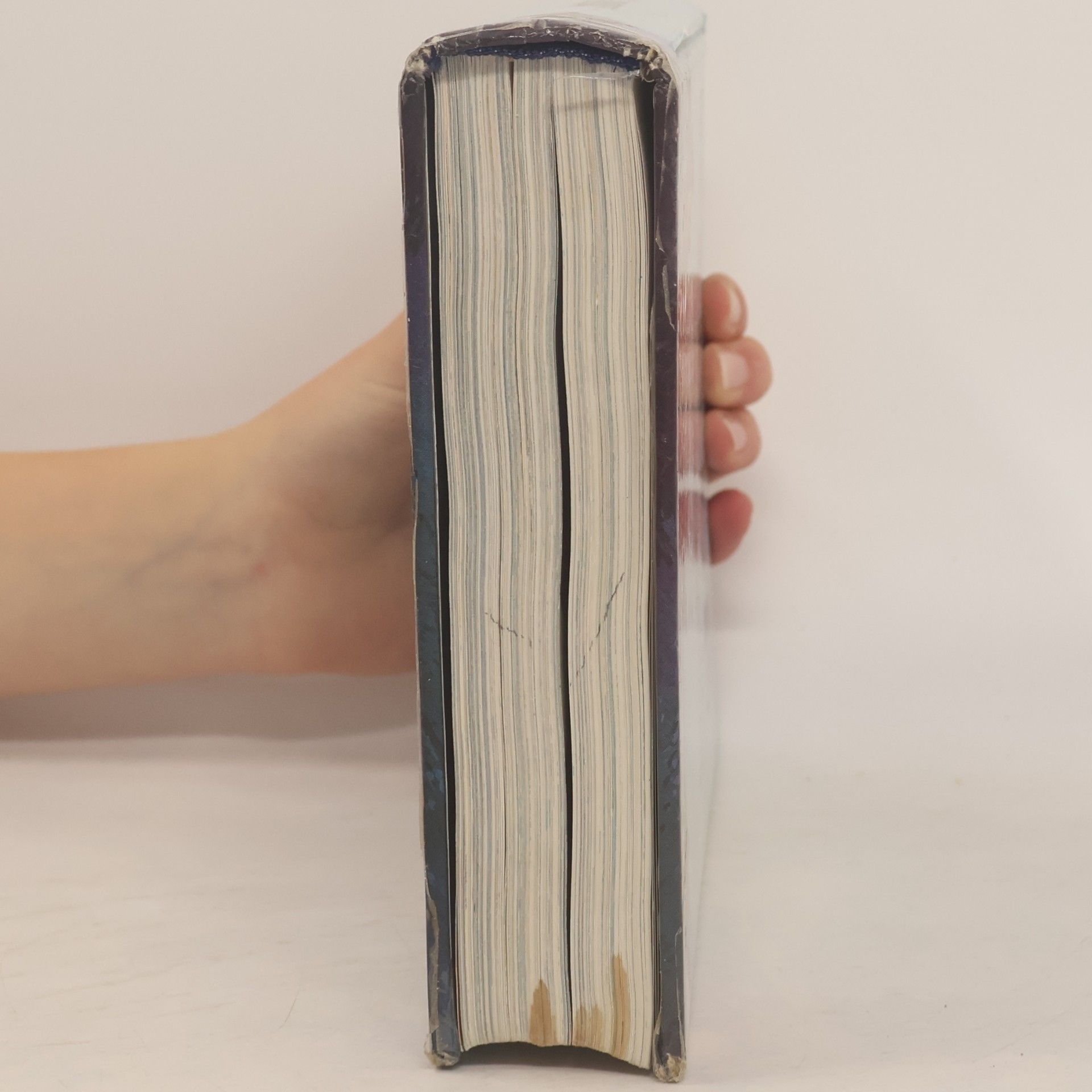 Anna Lukešová Příběhy z Bible