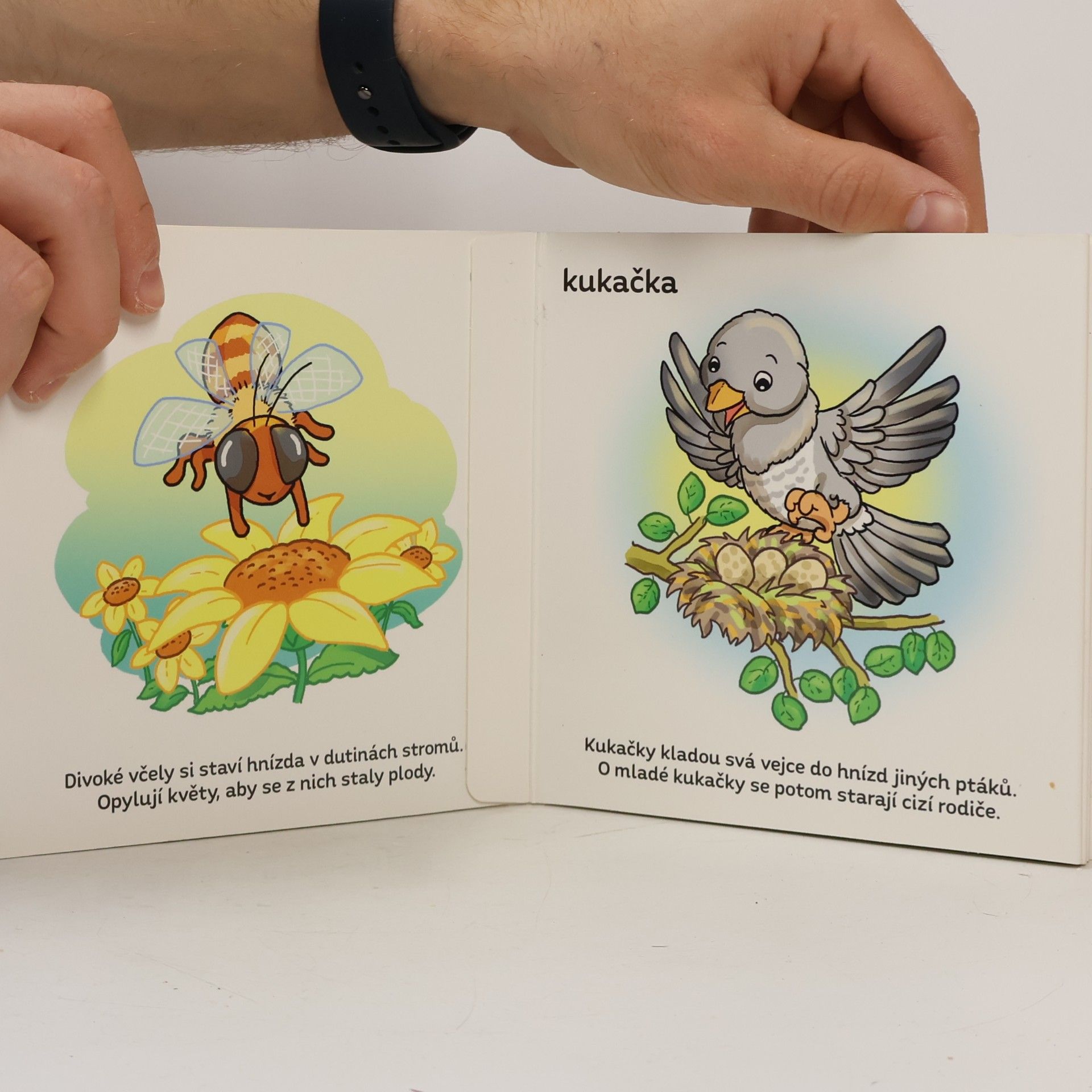 U nás v lese