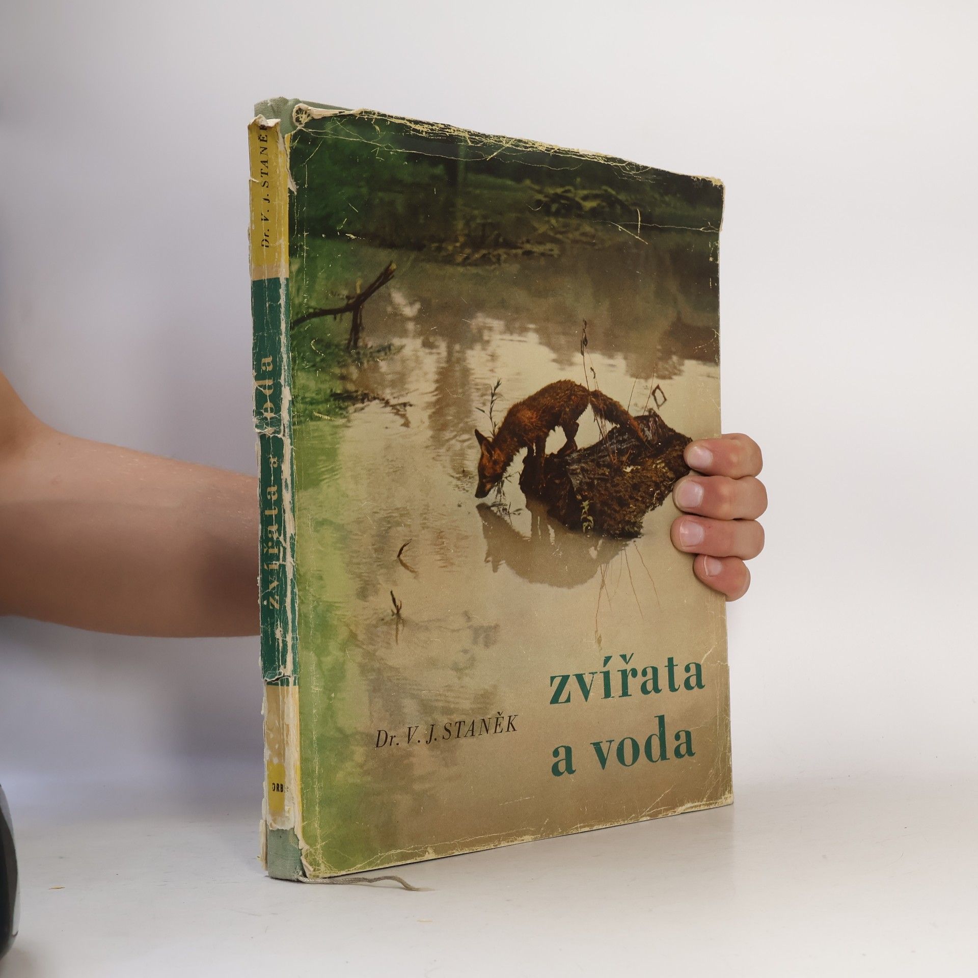 Zvířata a voda