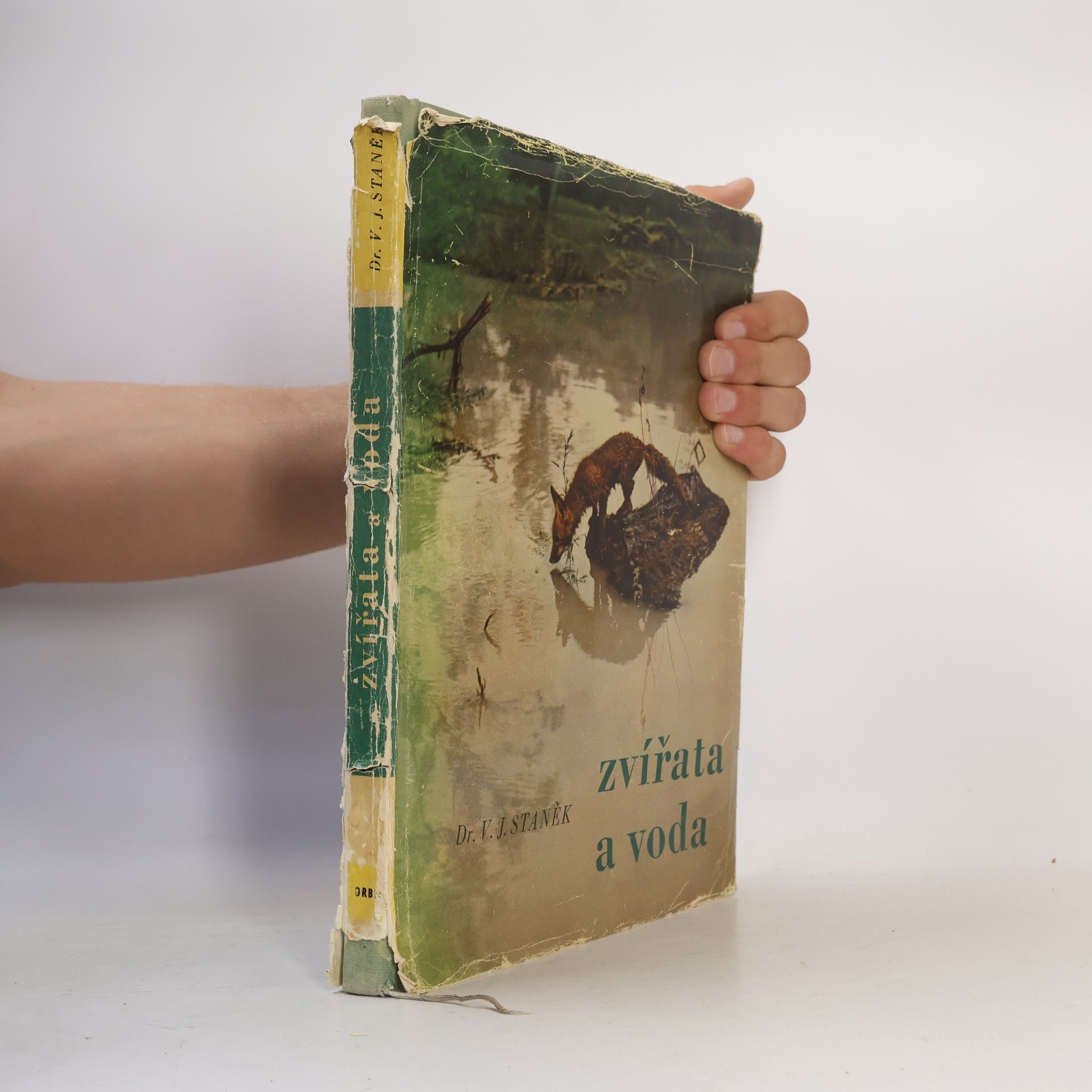 Václav Jan Staněk Zvířata a voda