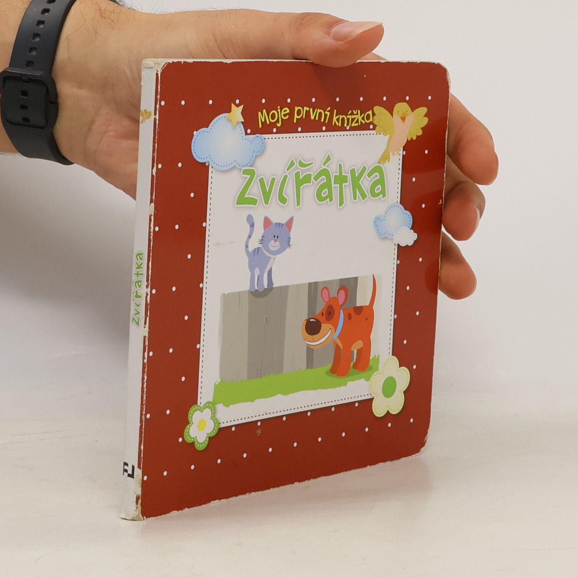 Zvířátka : Moje první knížka